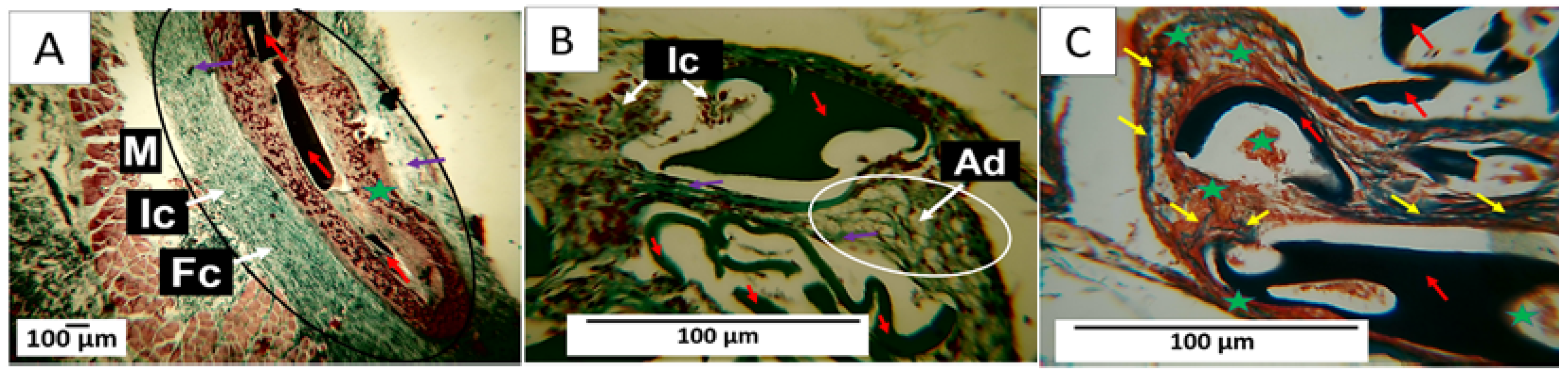 Polymers 15 04595 g009