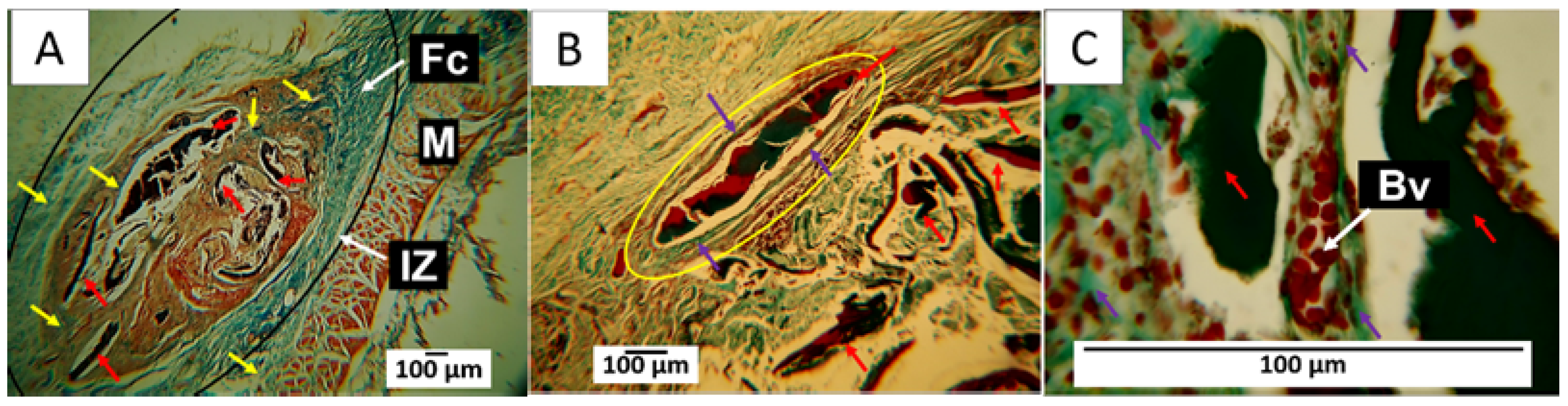 Polymers 15 04595 g010