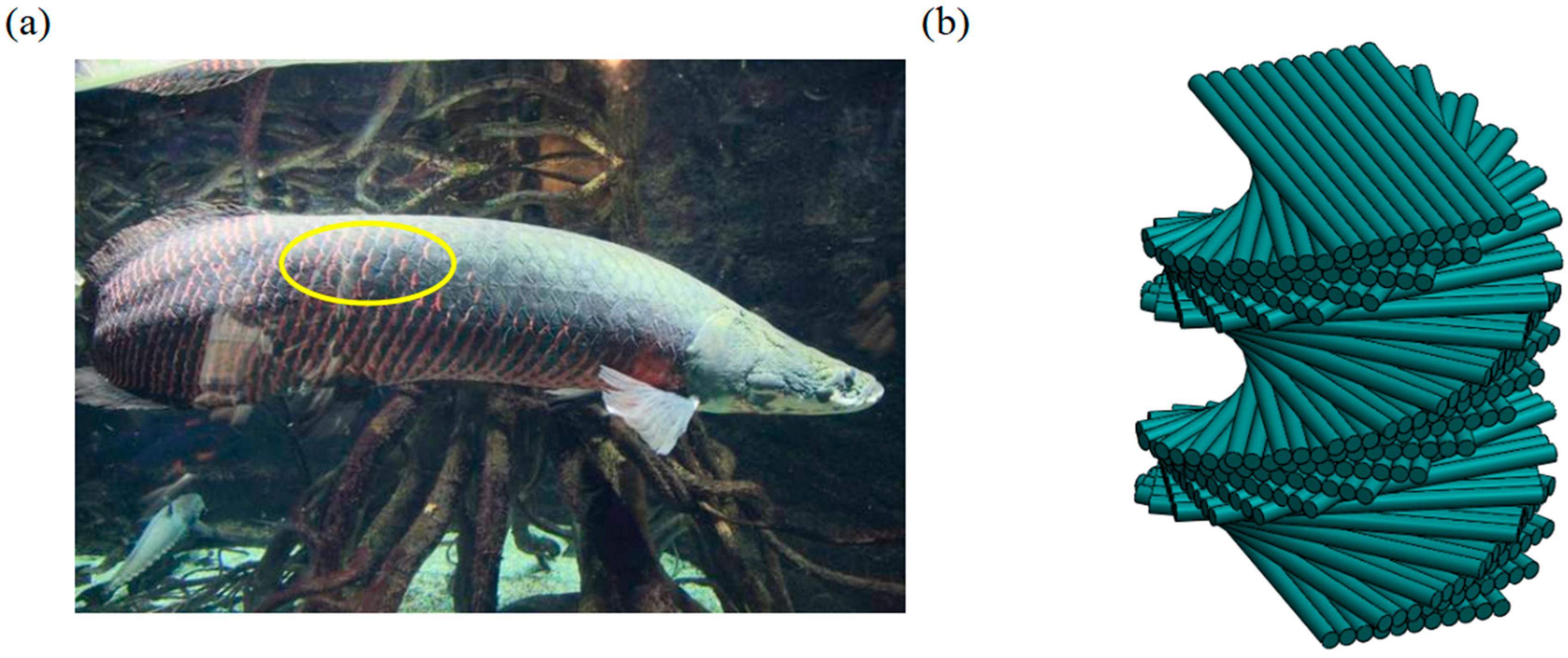 Polymers 15 04599 g001