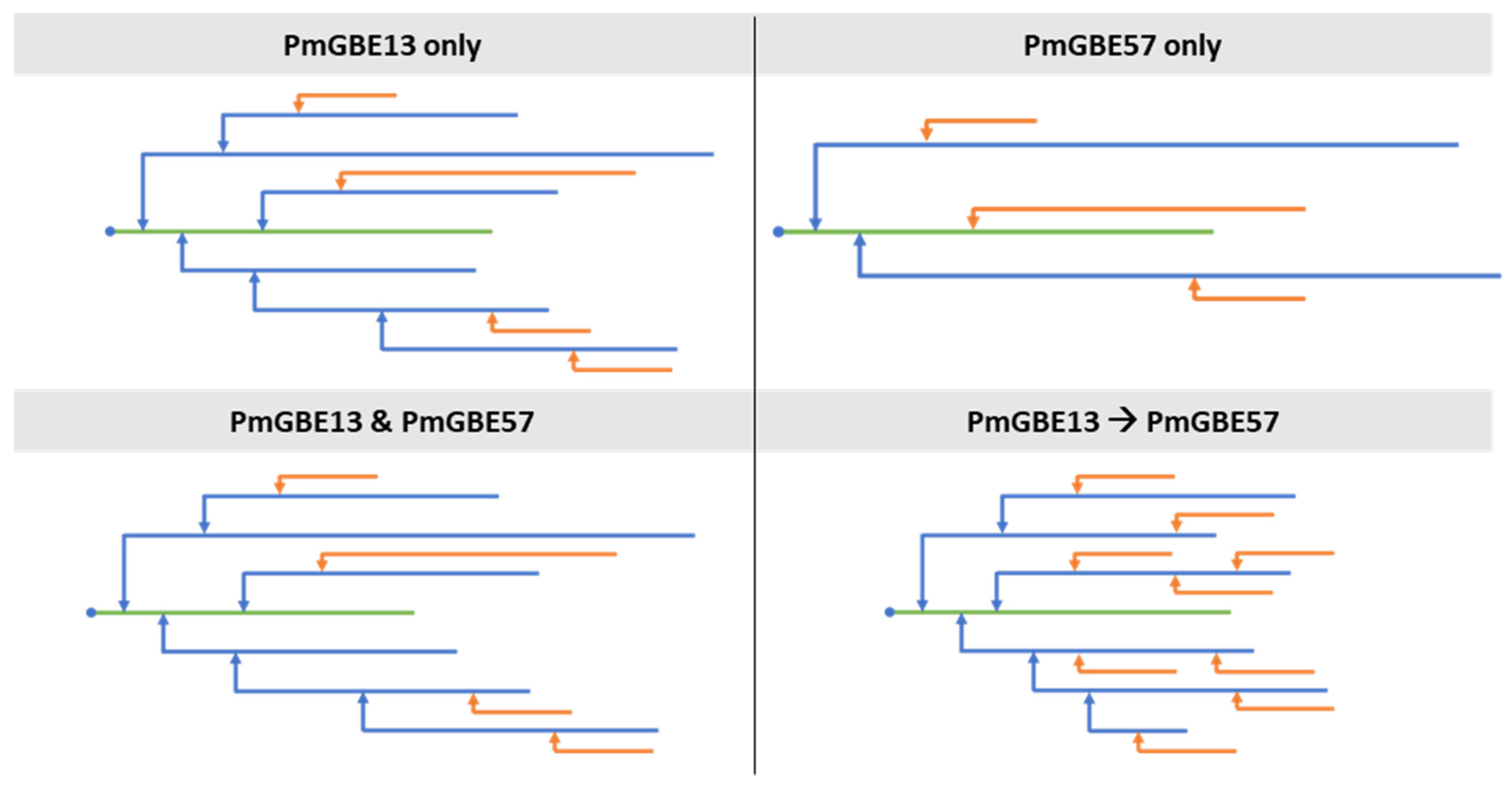 Polymers 15 04603 g003