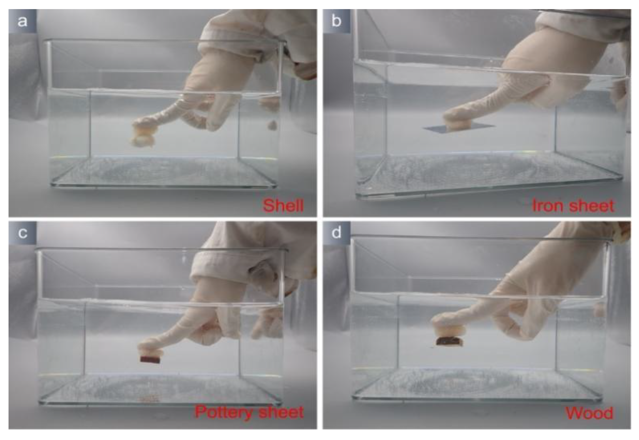 Polymers 15 04621 g006