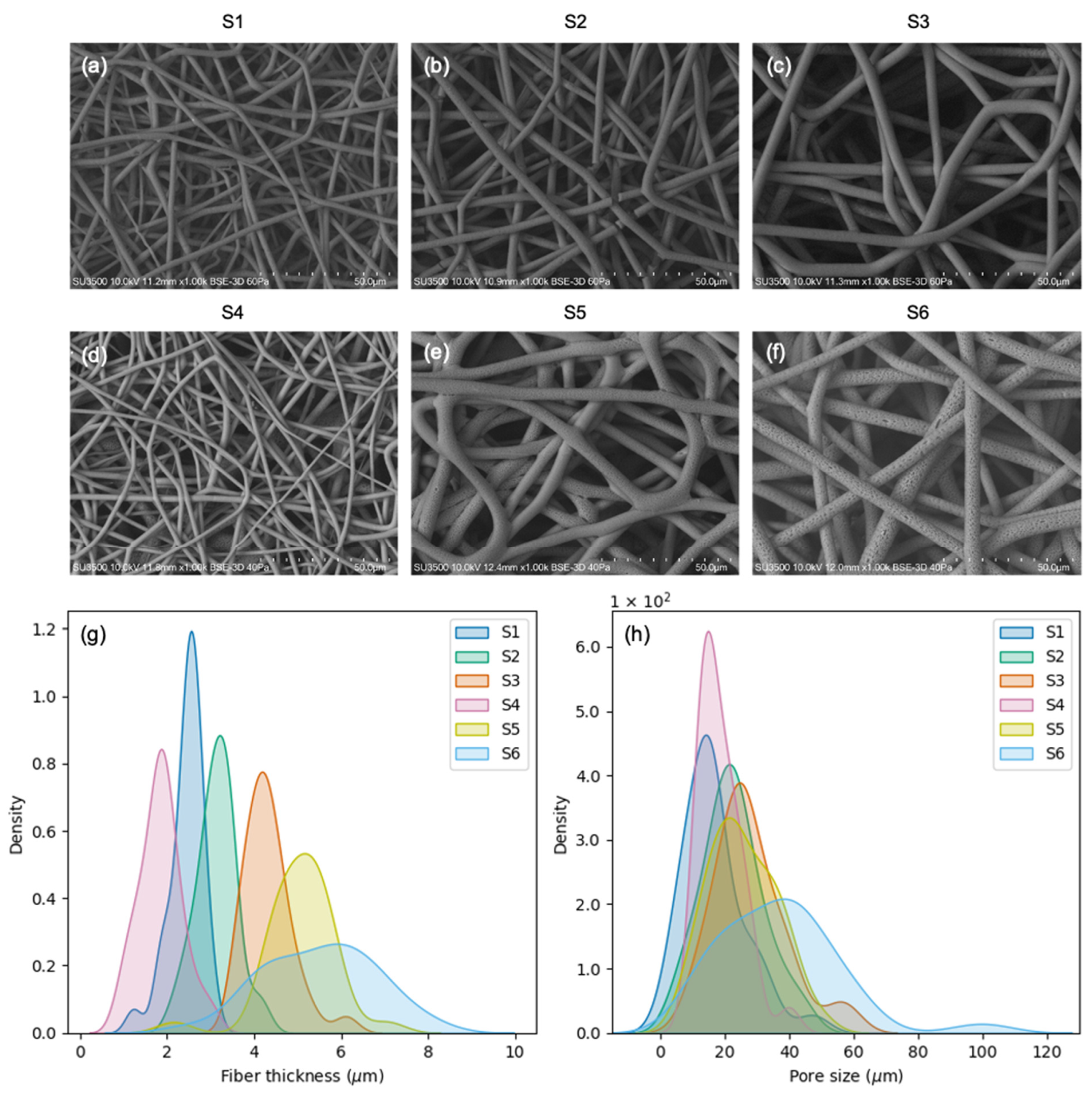 Polymers 15 04625 g002
