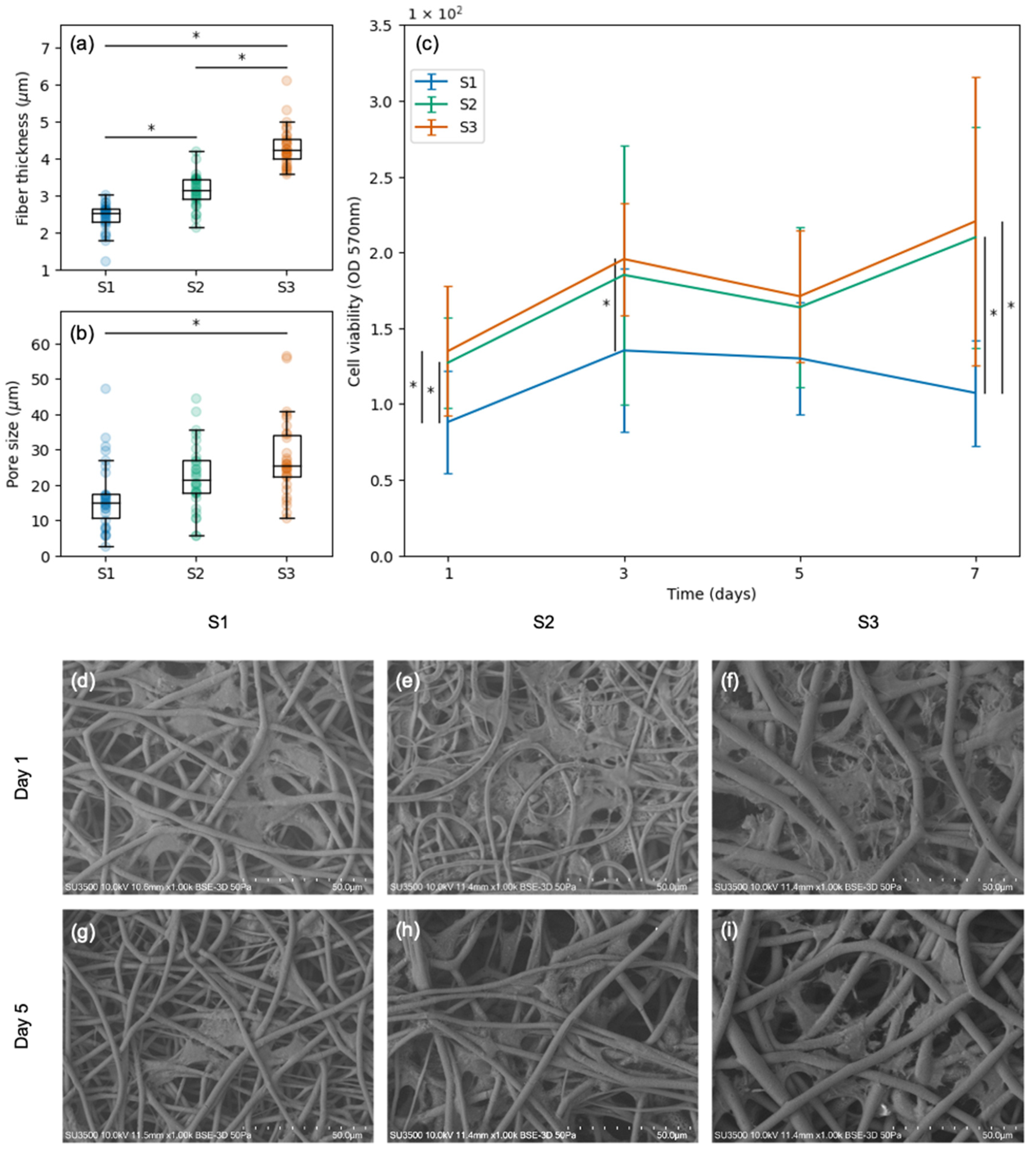 Polymers 15 04625 g004