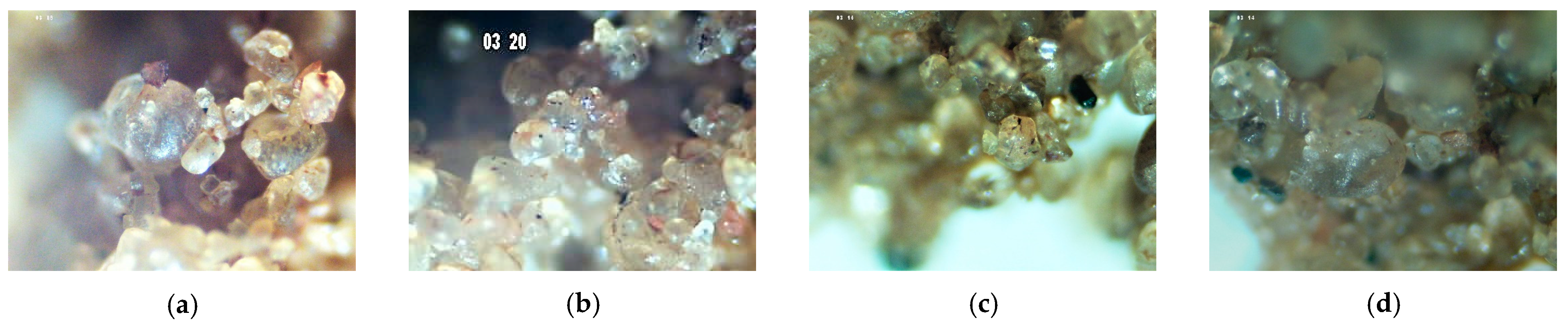Polymers 15 04626 g024