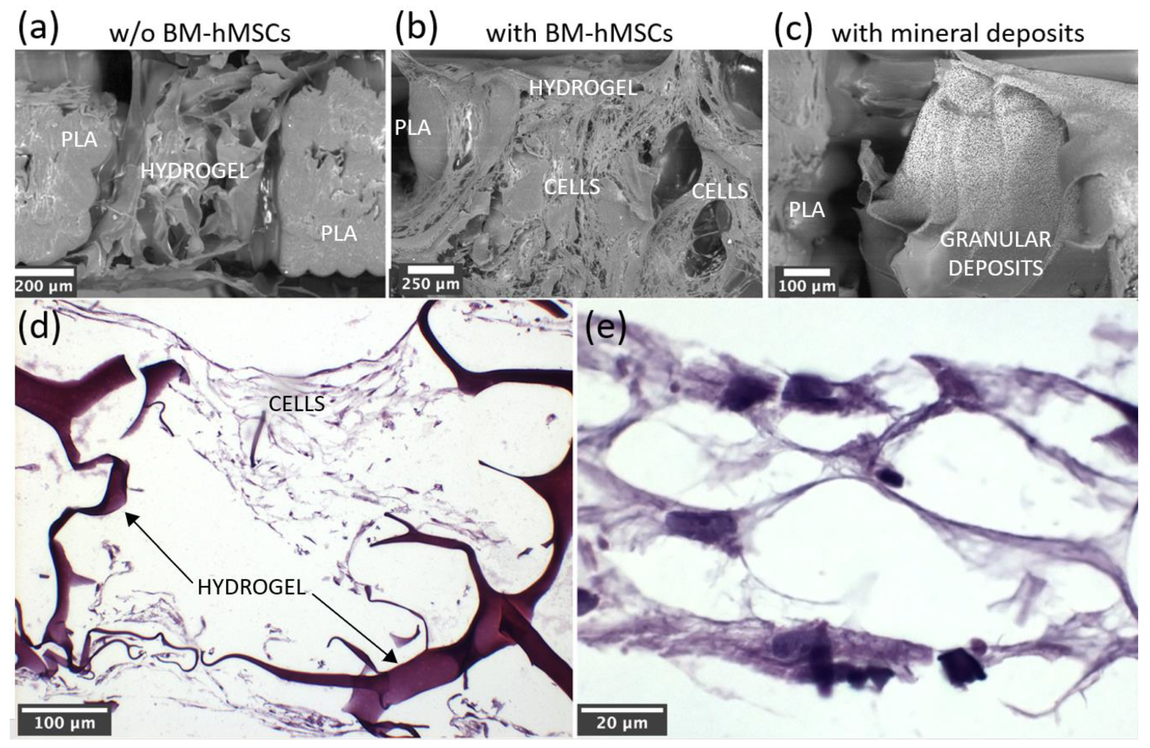Polymers 15 04631 g010