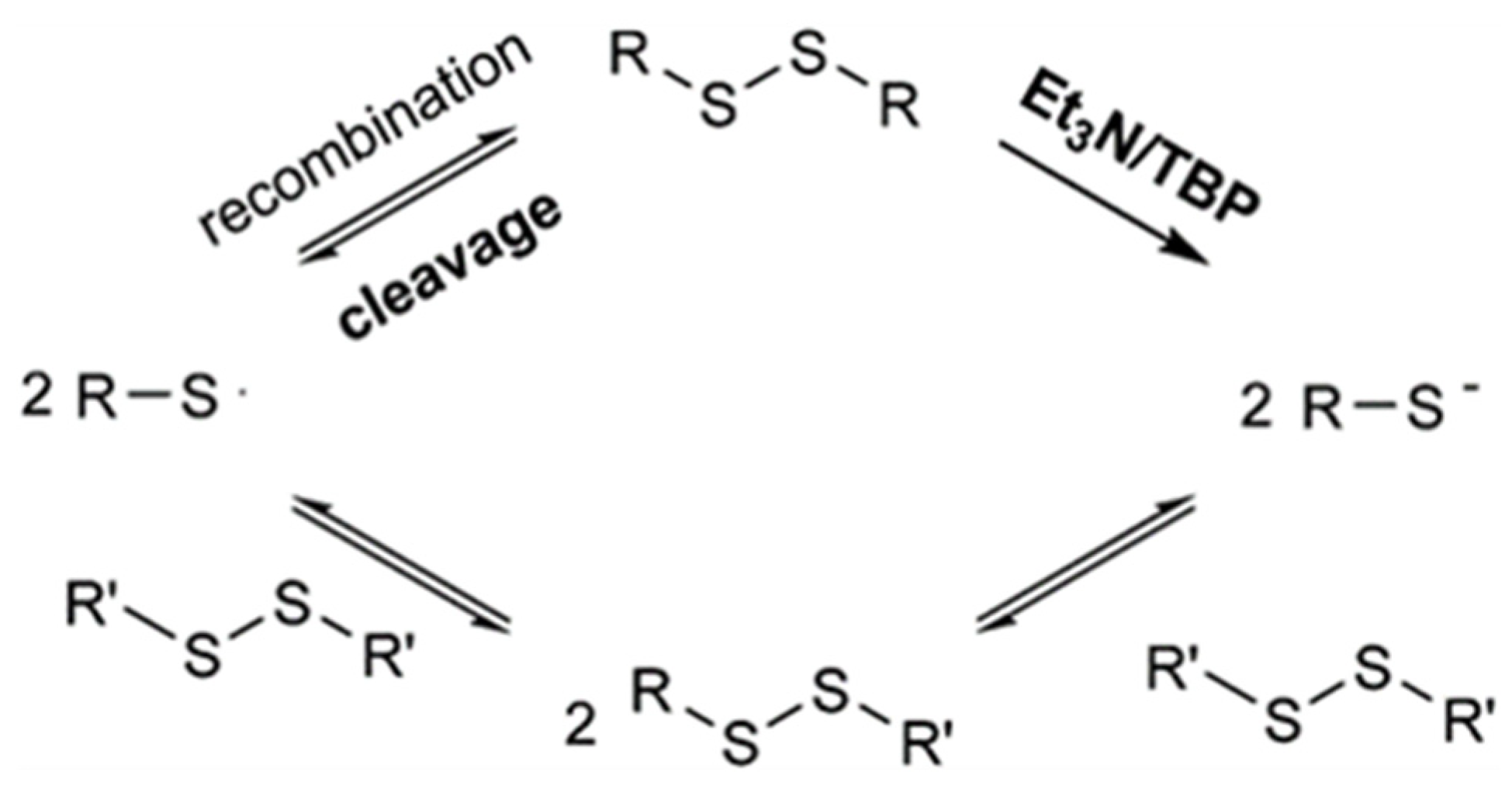 Polymers 15 04646 g002