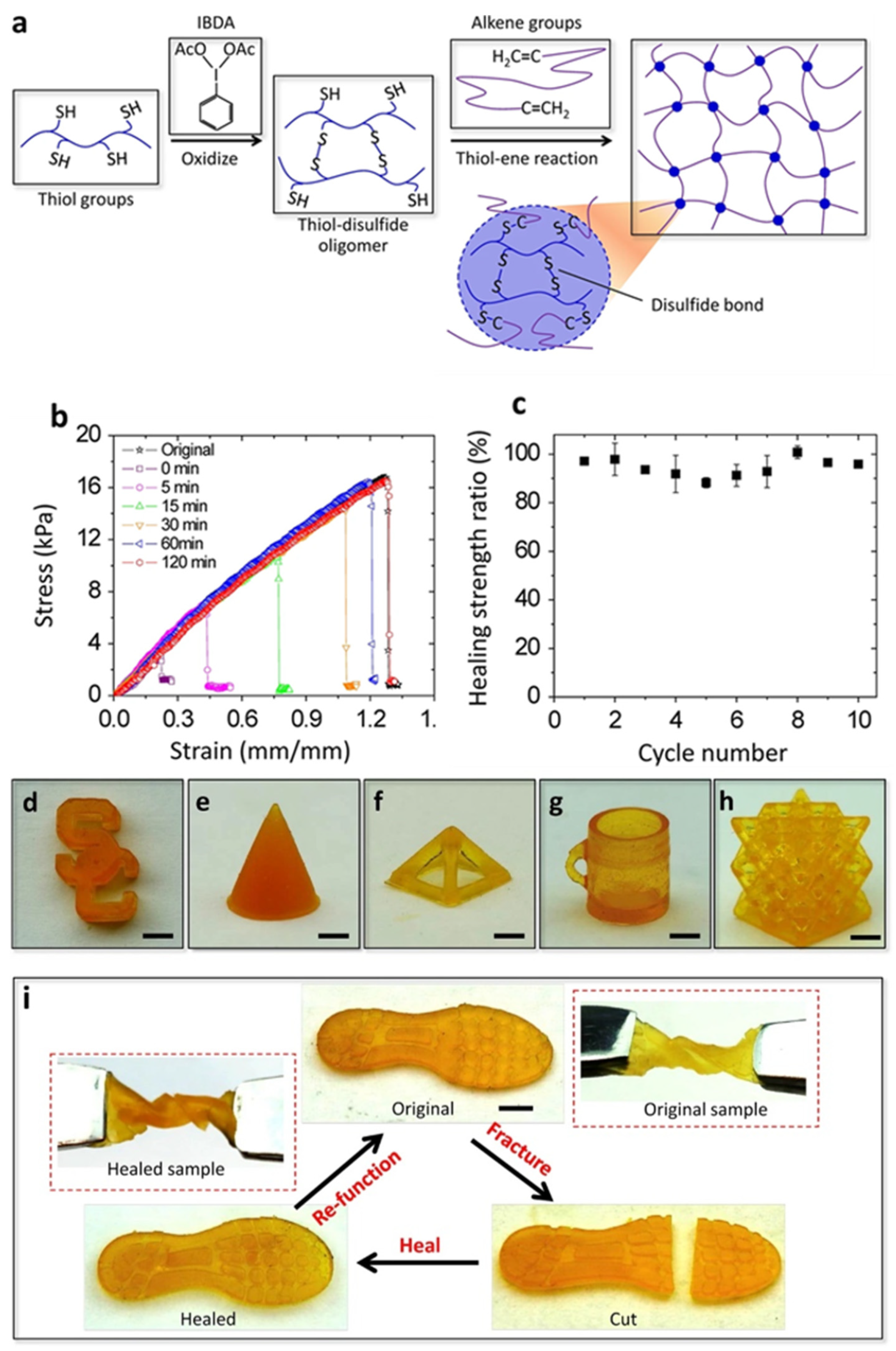 Polymers 15 04646 g003