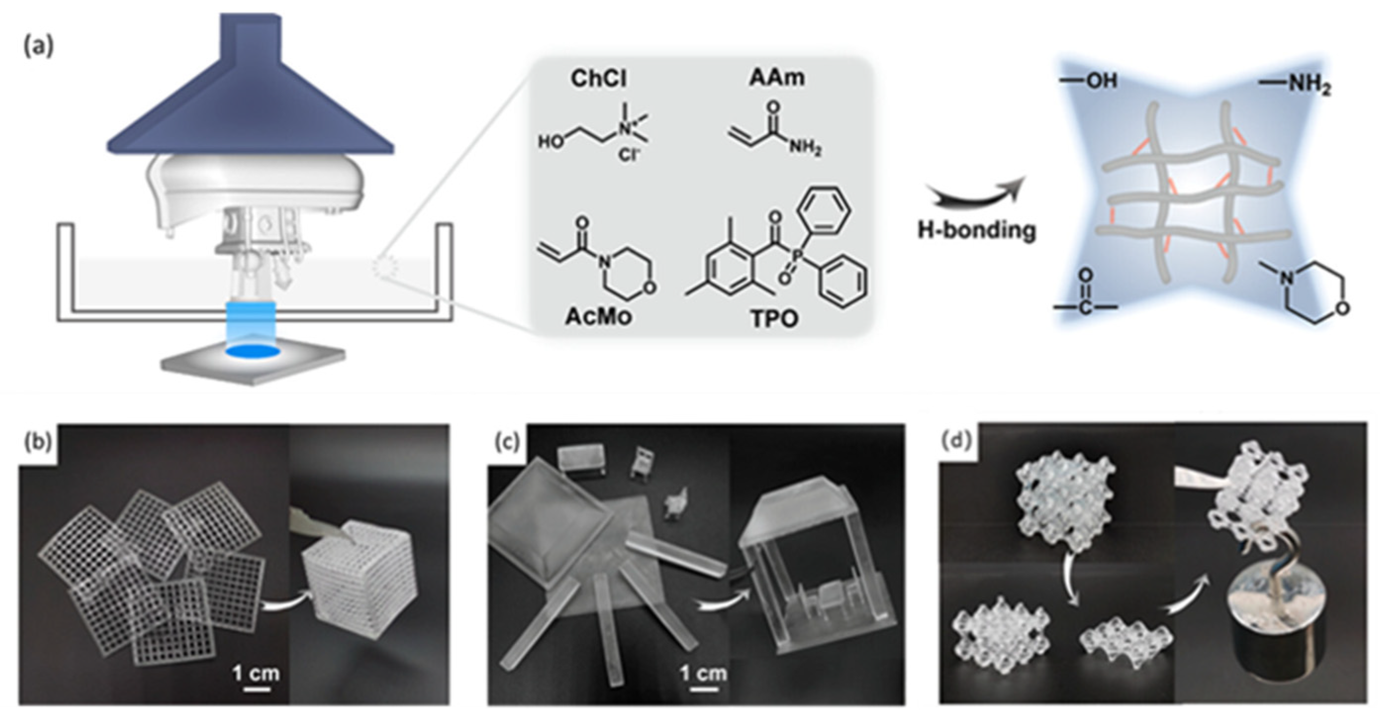 Polymers 15 04646 g008