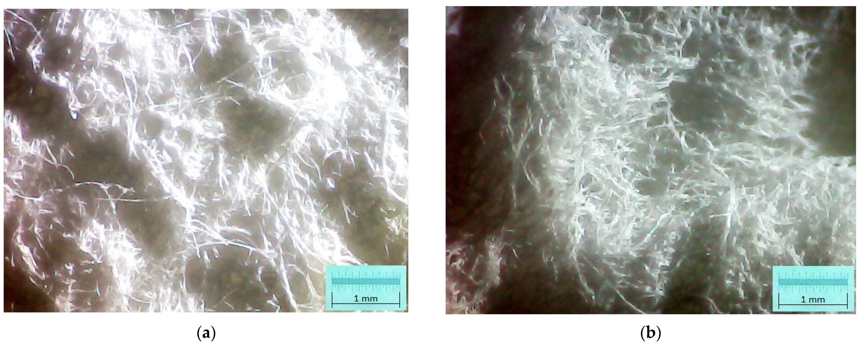 Polymers 15 04648 g003 Polymers 15 04648 g003