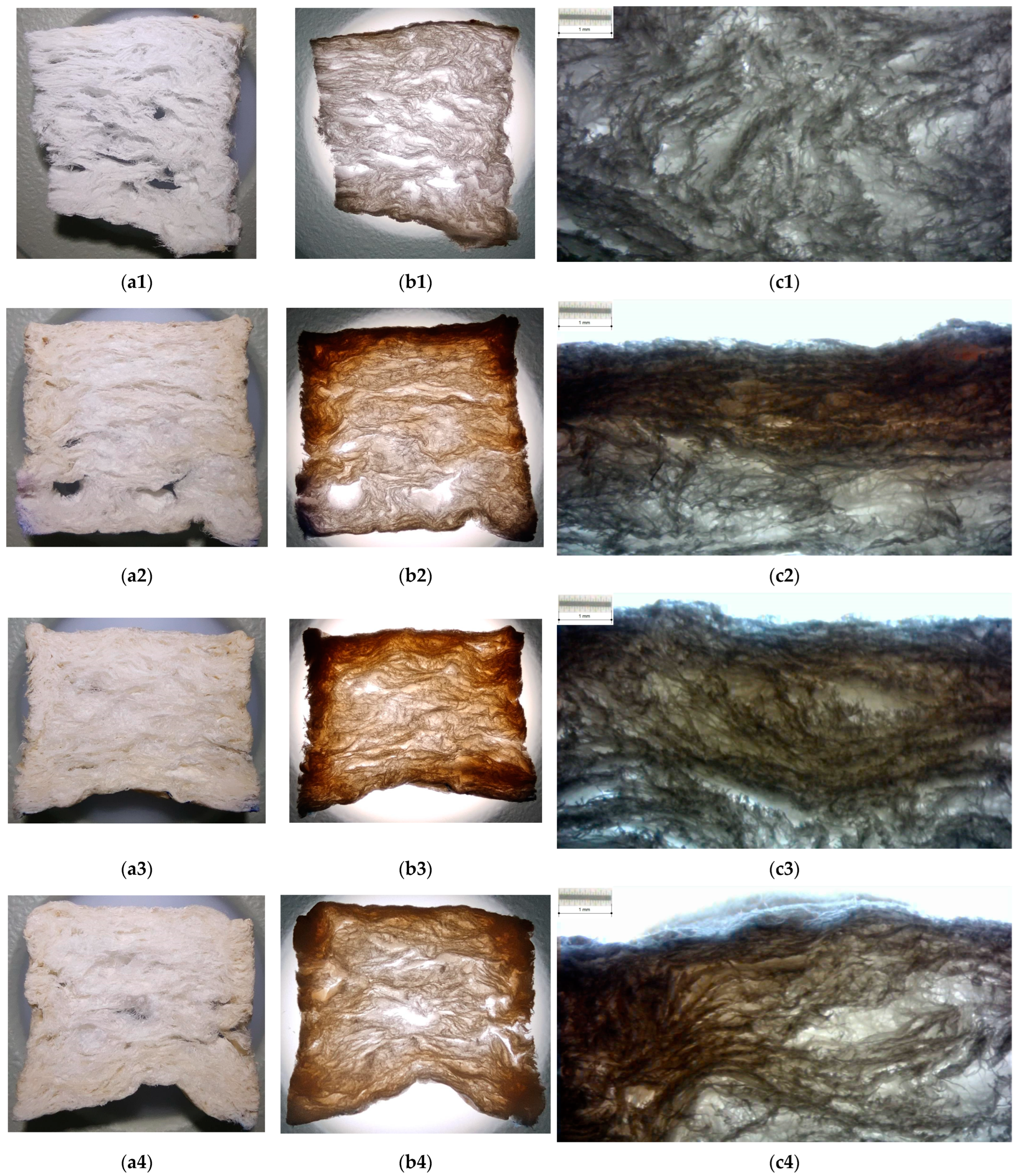 Polymers 15 04648 g006 Polymers 15 04648 g006