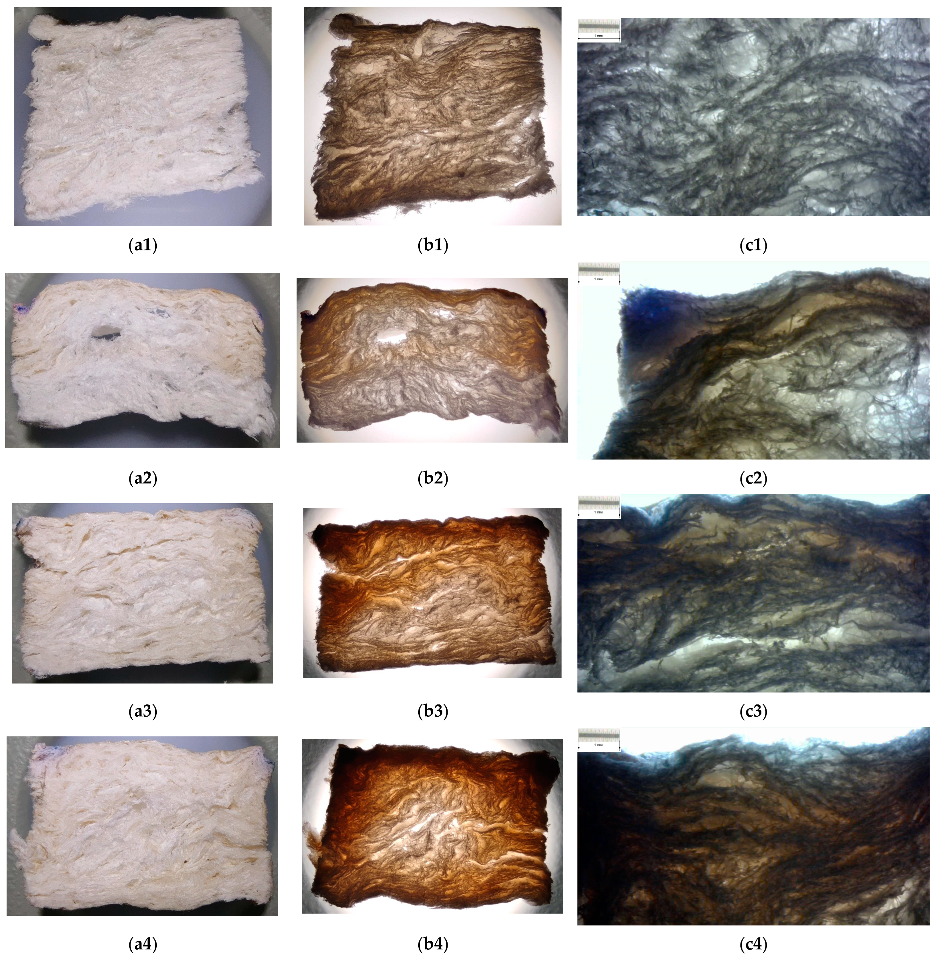 Polymers 15 04648 g007 Polymers 15 04648 g007