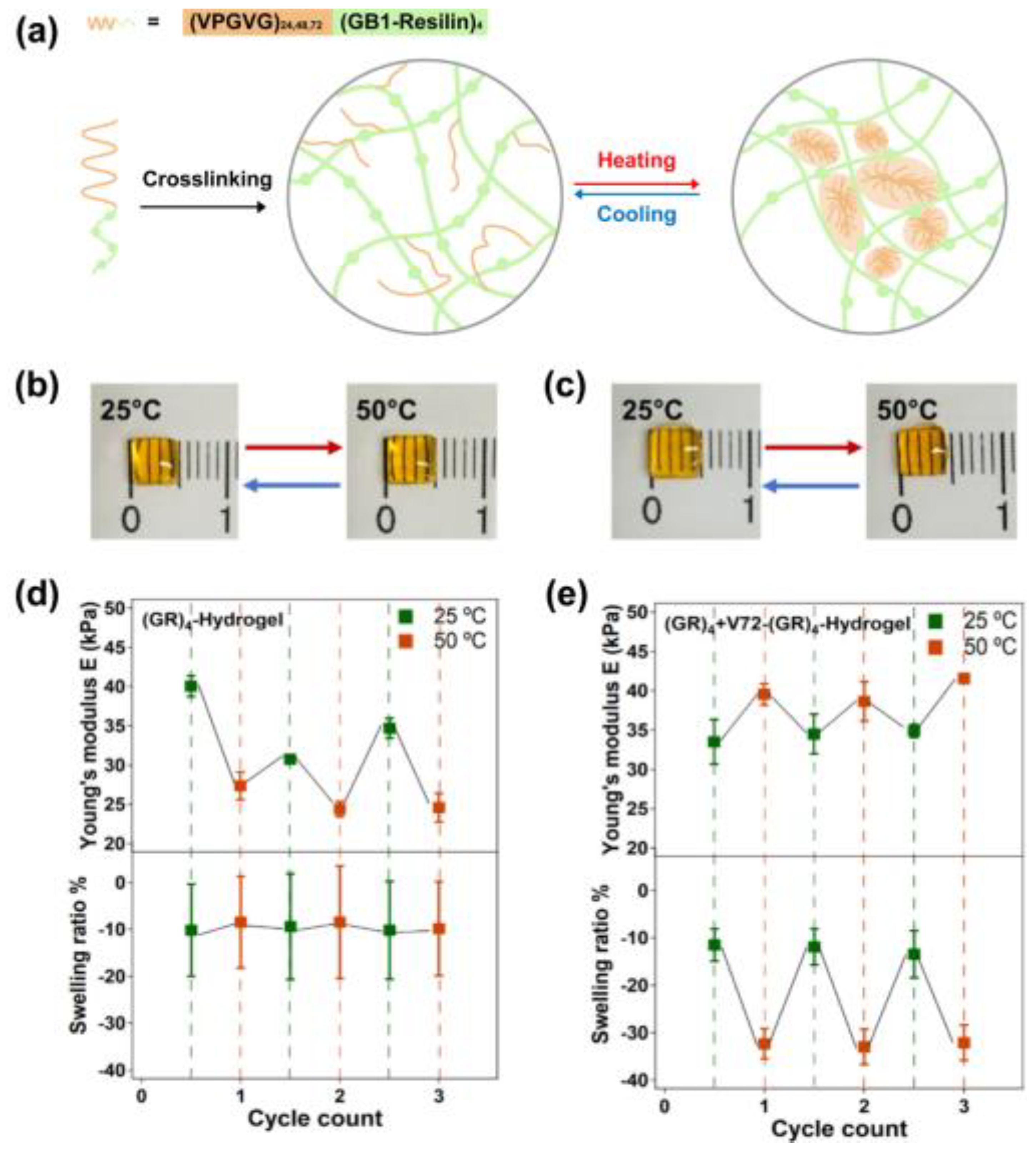 Polymers 15 04652 g003