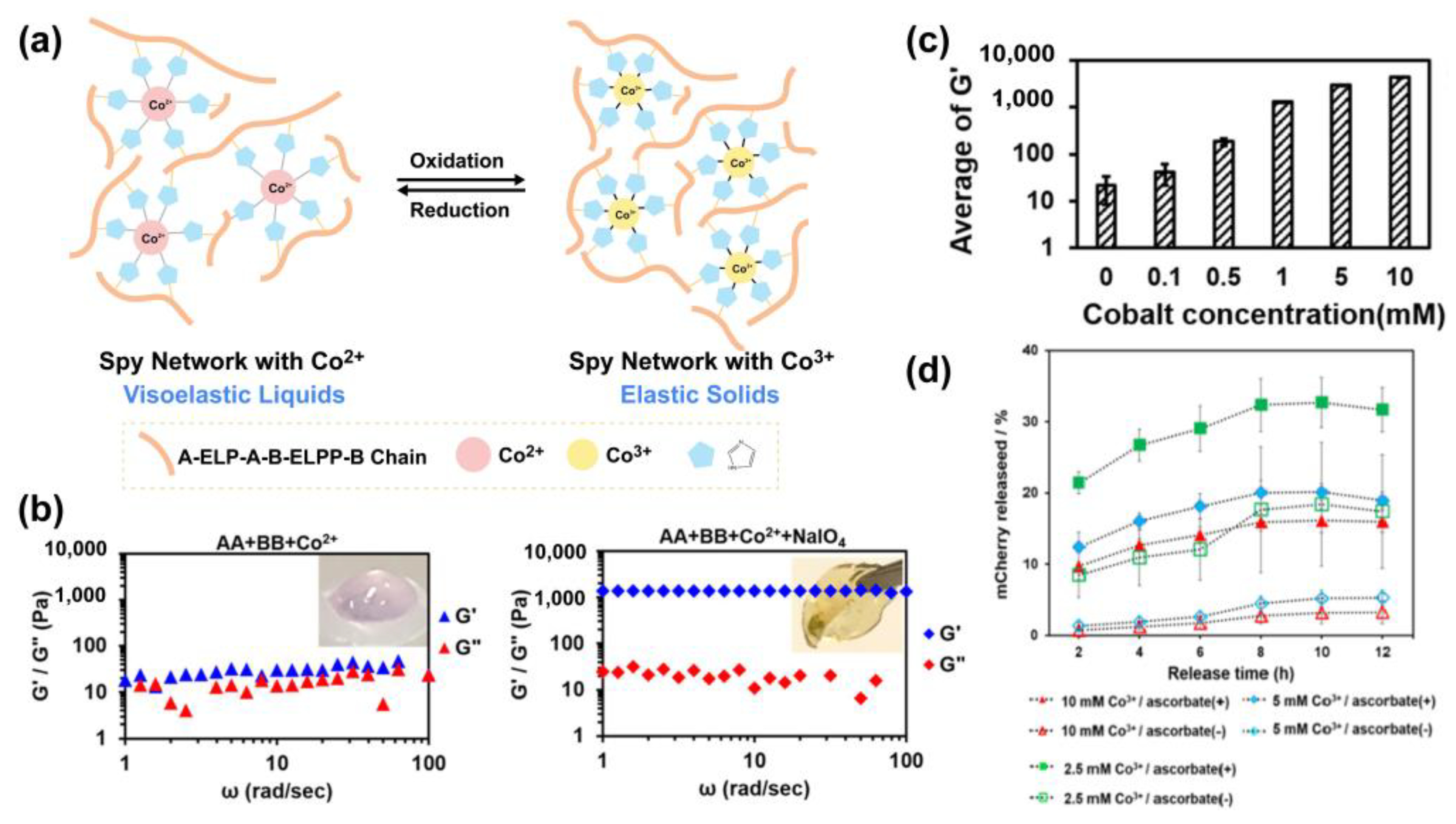 Polymers 15 04652 g005