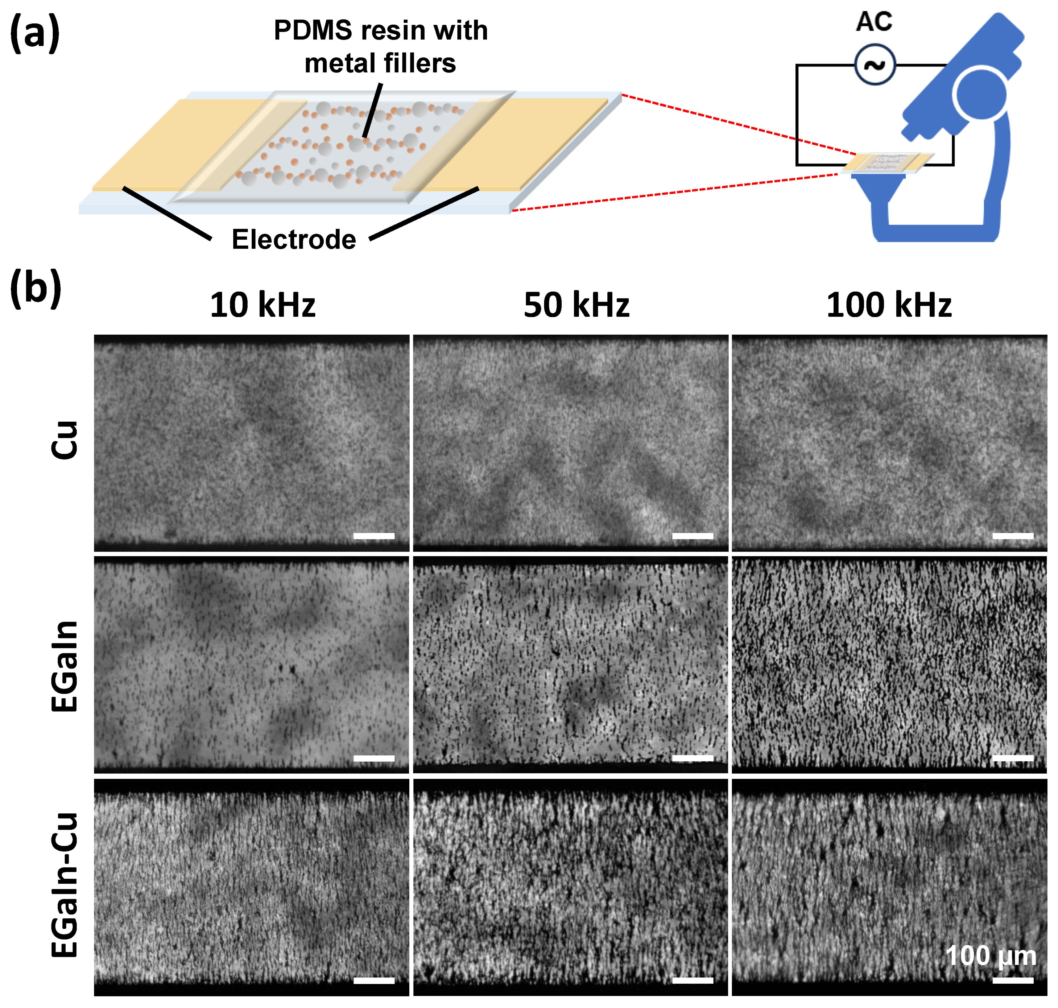 Polymers 15 04653 g002