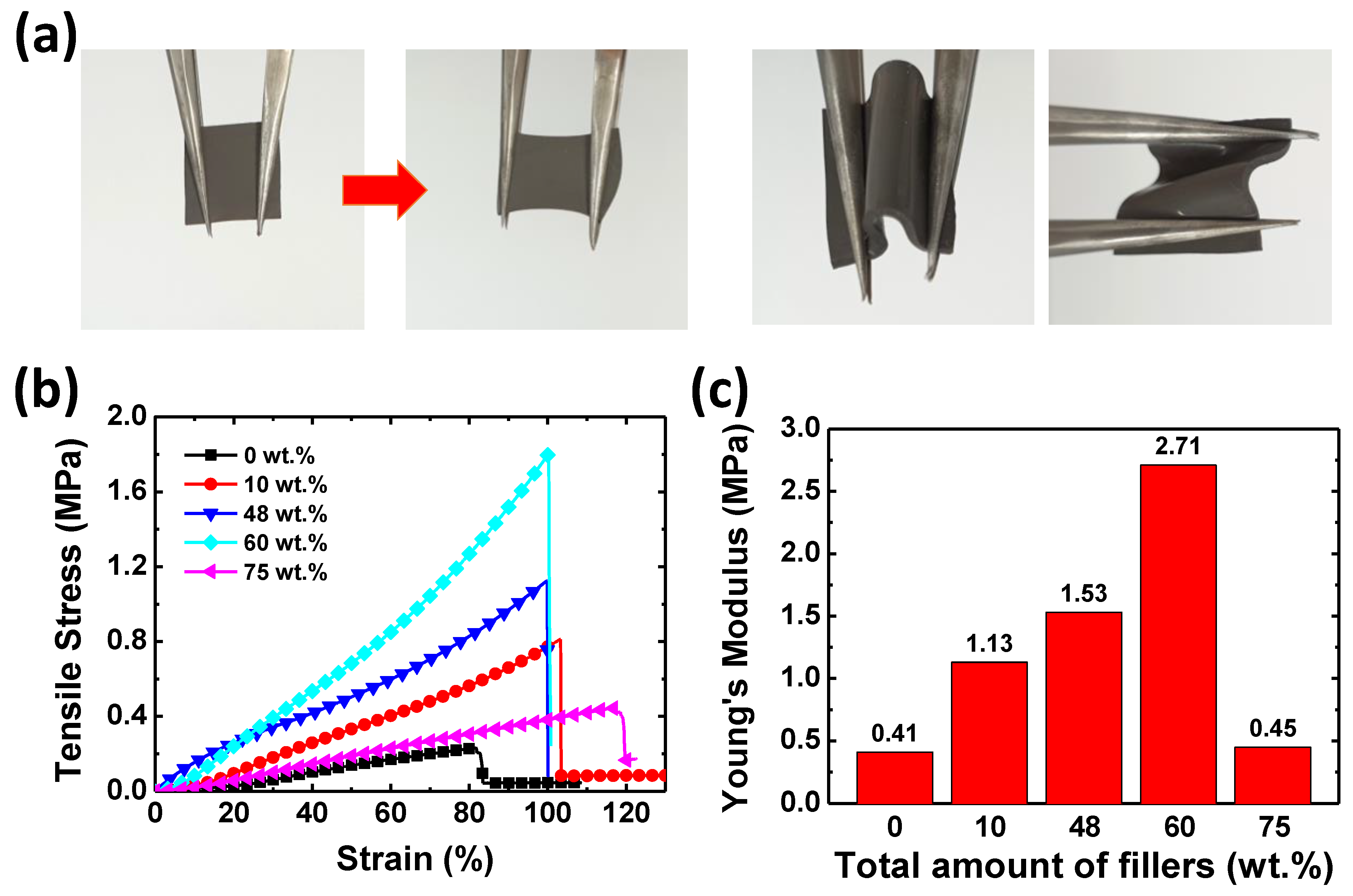 Polymers 15 04653 g008