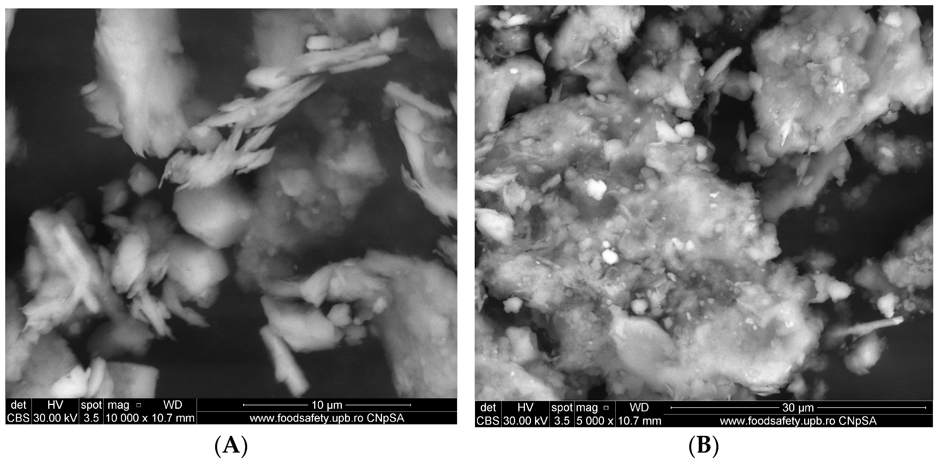 Polymers 15 04666 g004a