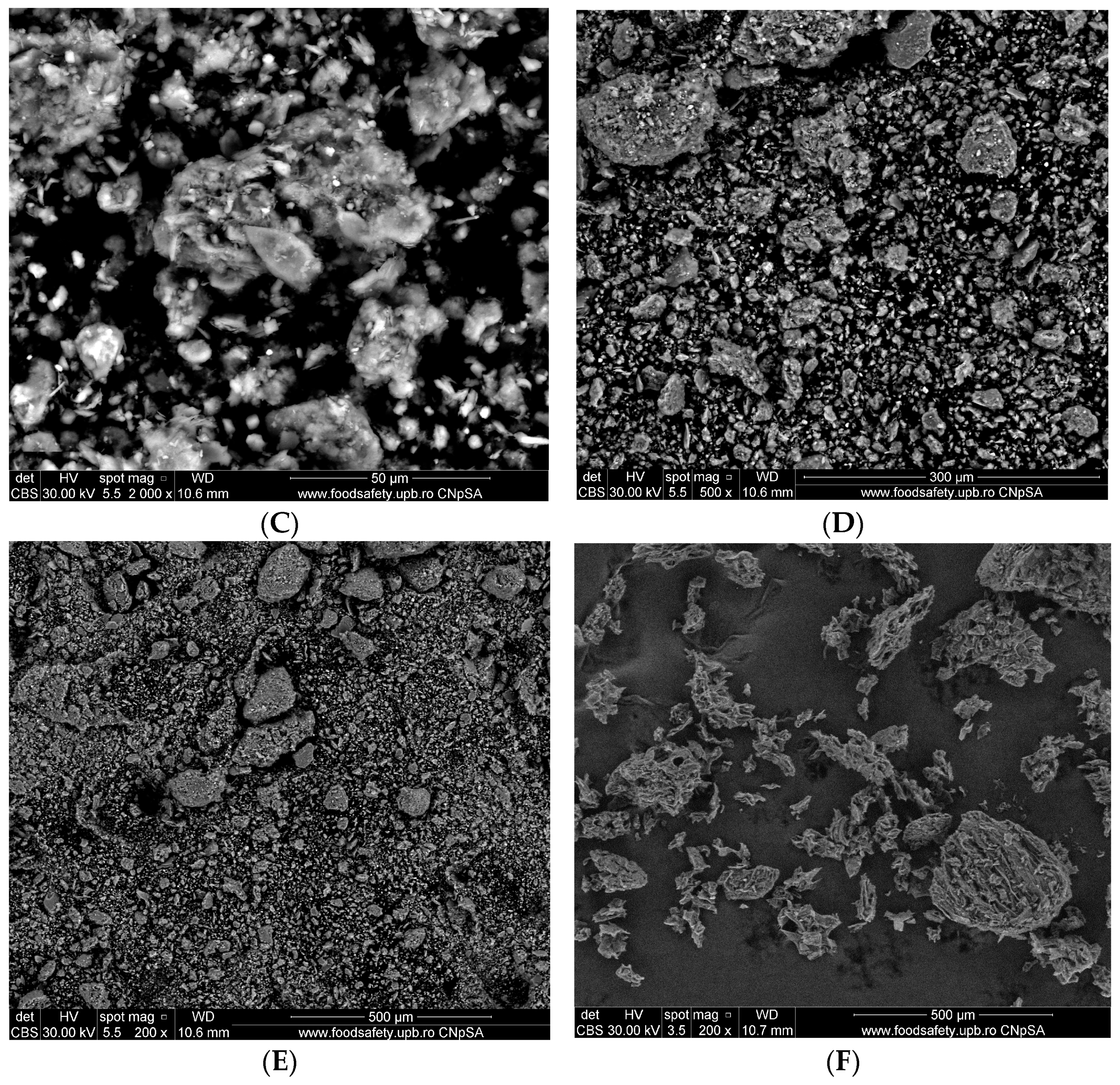 Polymers 15 04666 g004b