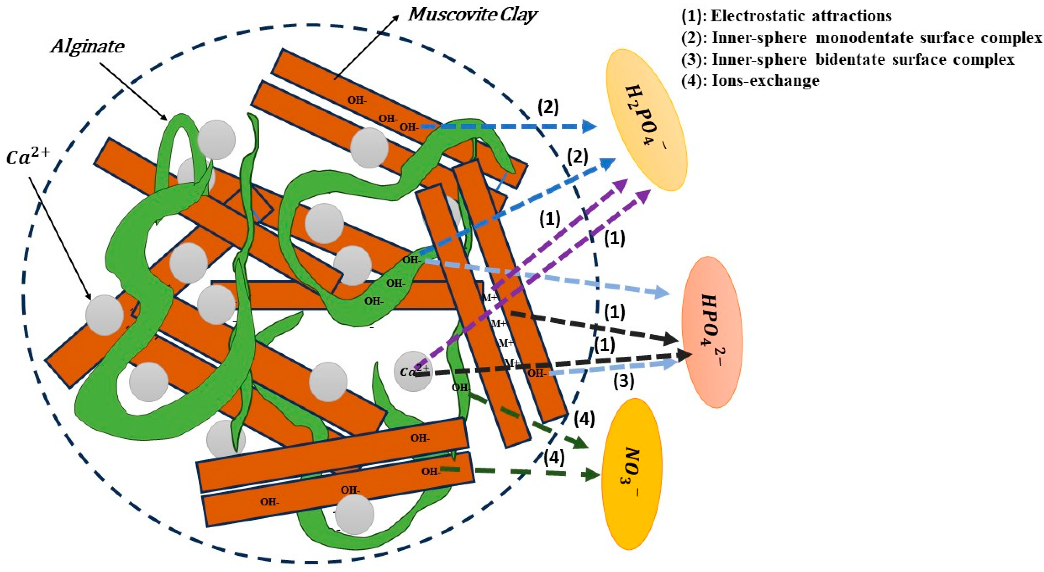 Polymers 15 04666 g020