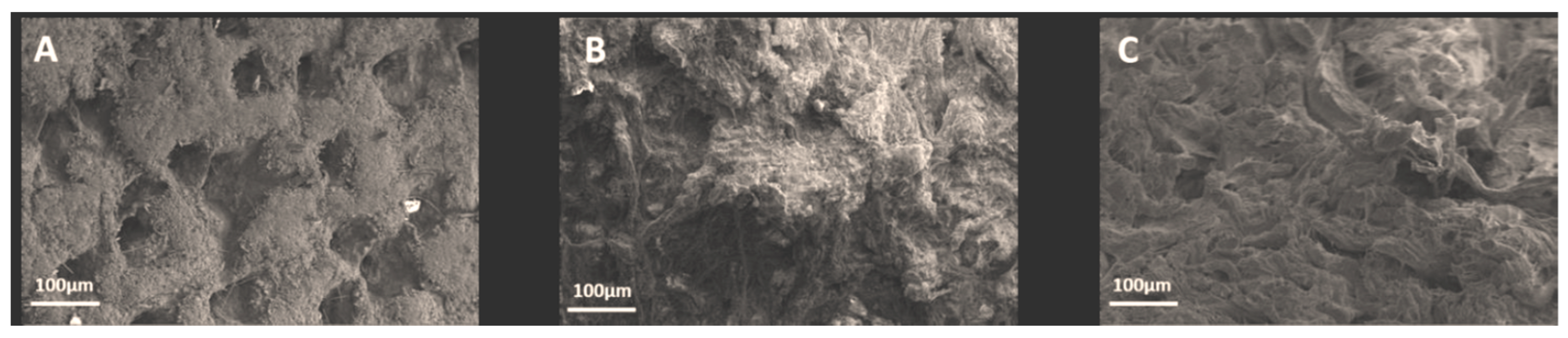 Polymers 15 04676 g006