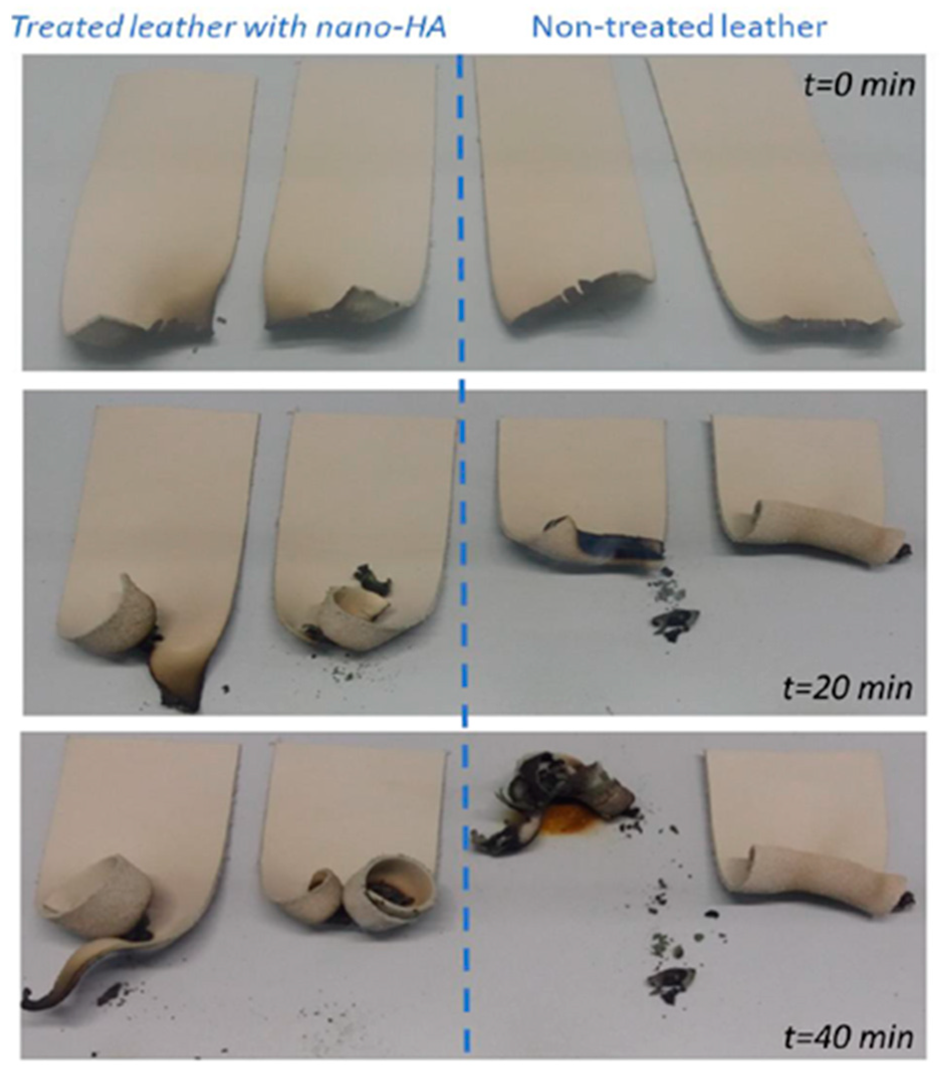 Polymers 15 04676 g014