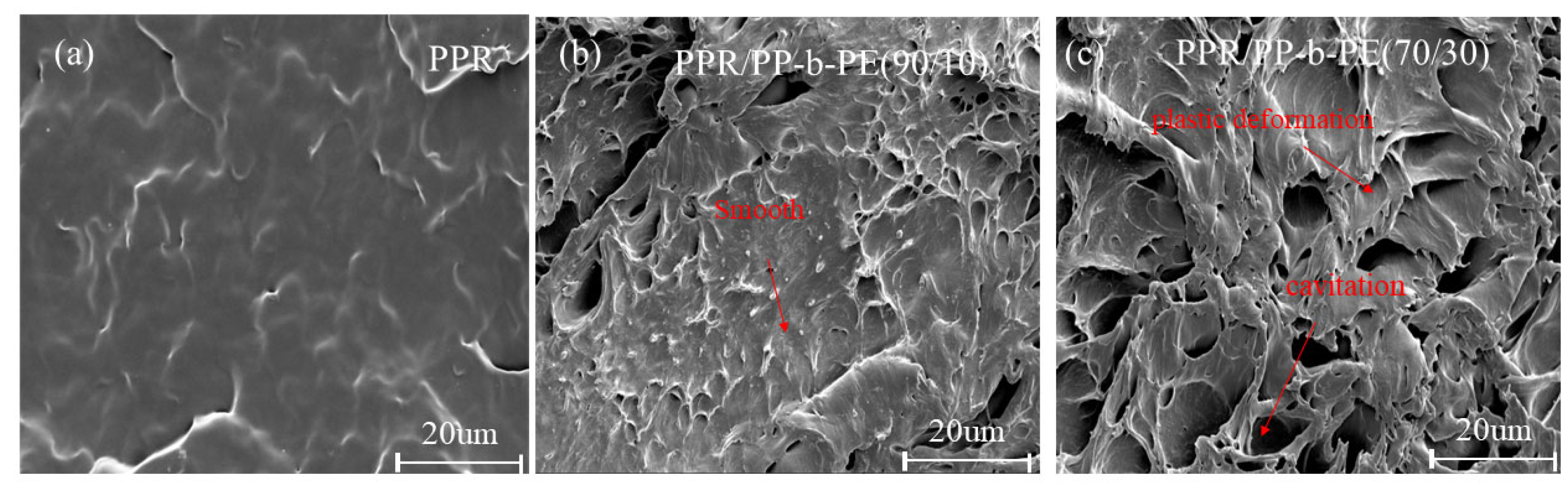 Polymers 15 04680 g007 Polymers 15 04680 g007