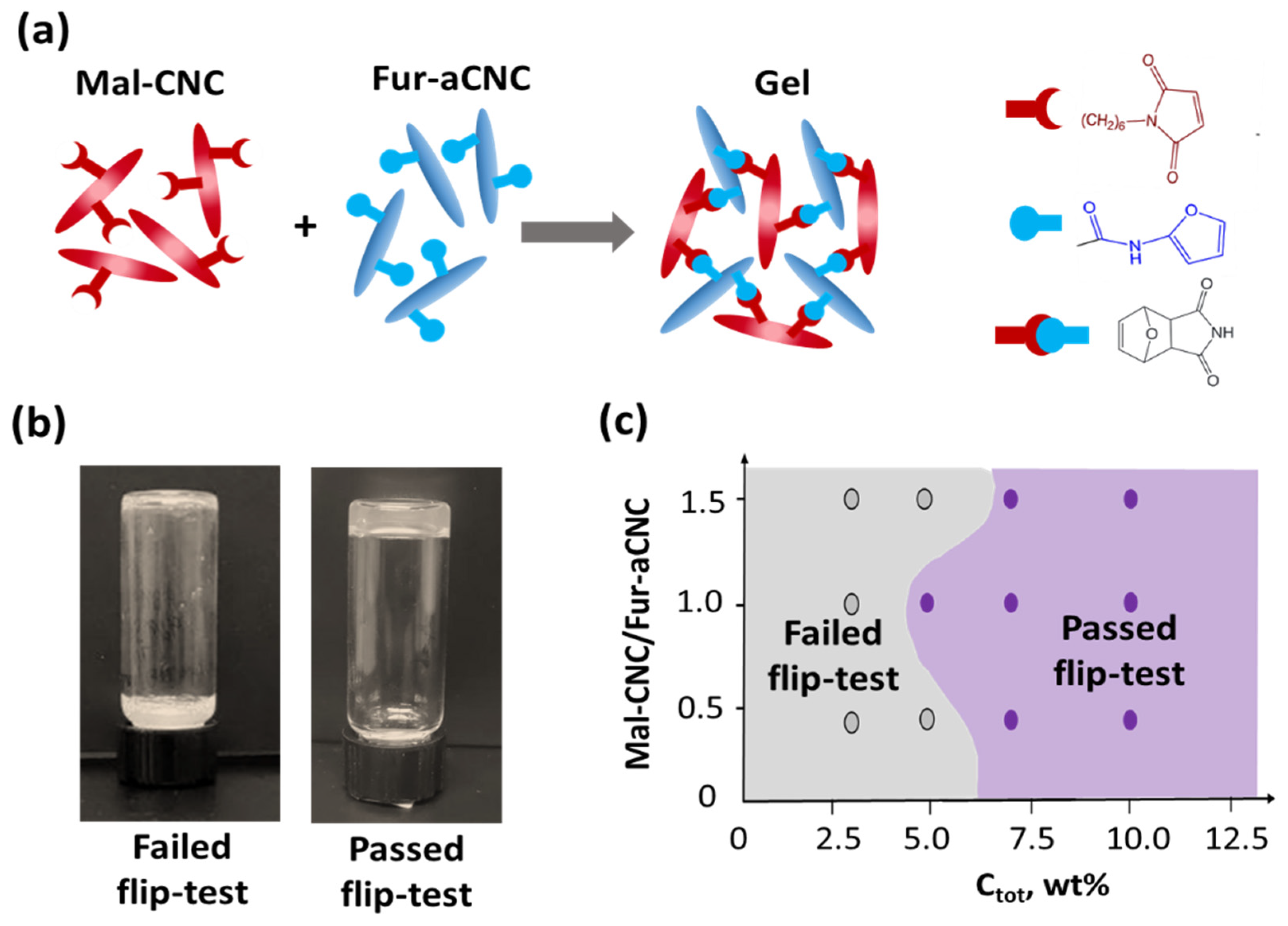 Polymers 15 04689 g002
