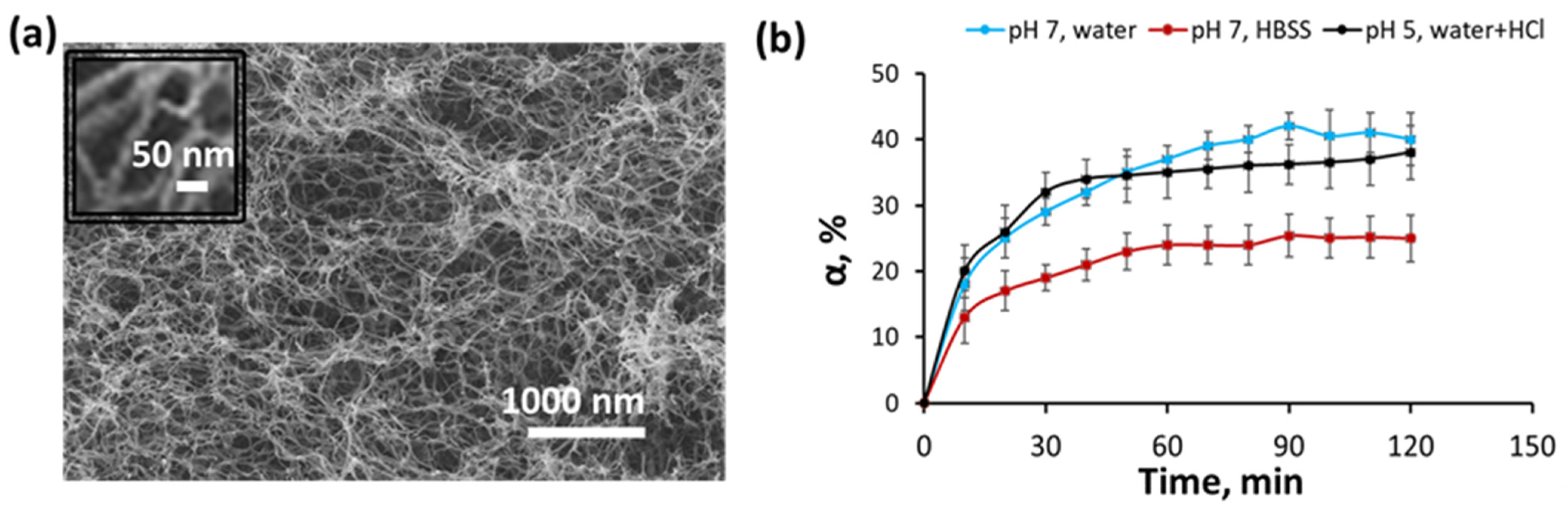 Polymers 15 04689 g004