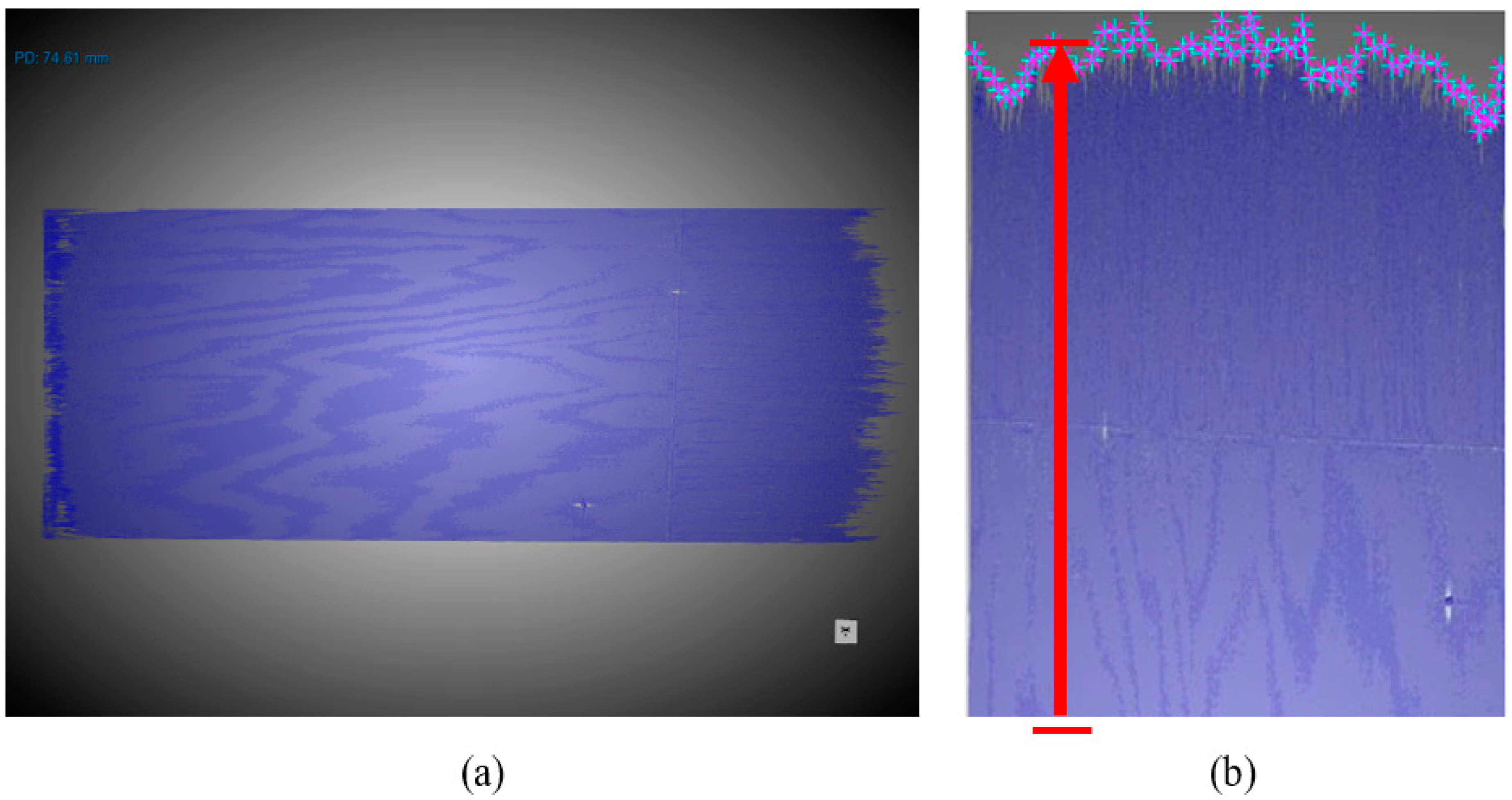 Polymers 15 04691 g004