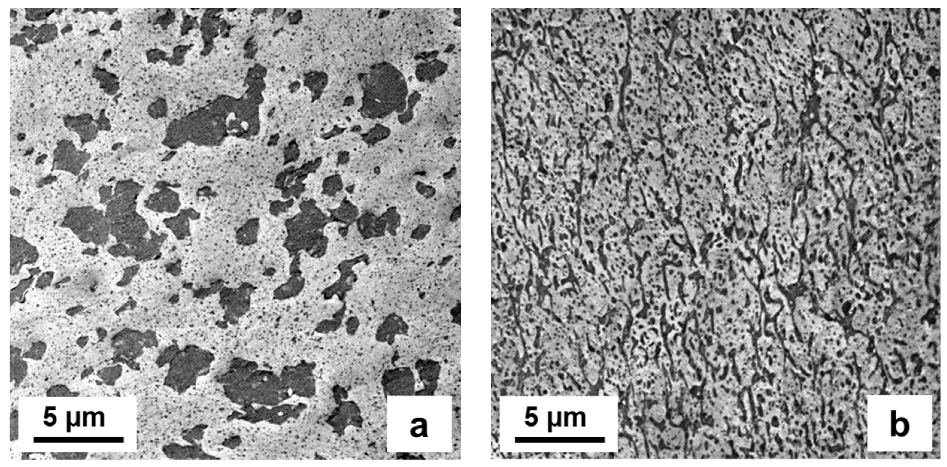 Polymers 15 04692 g003a