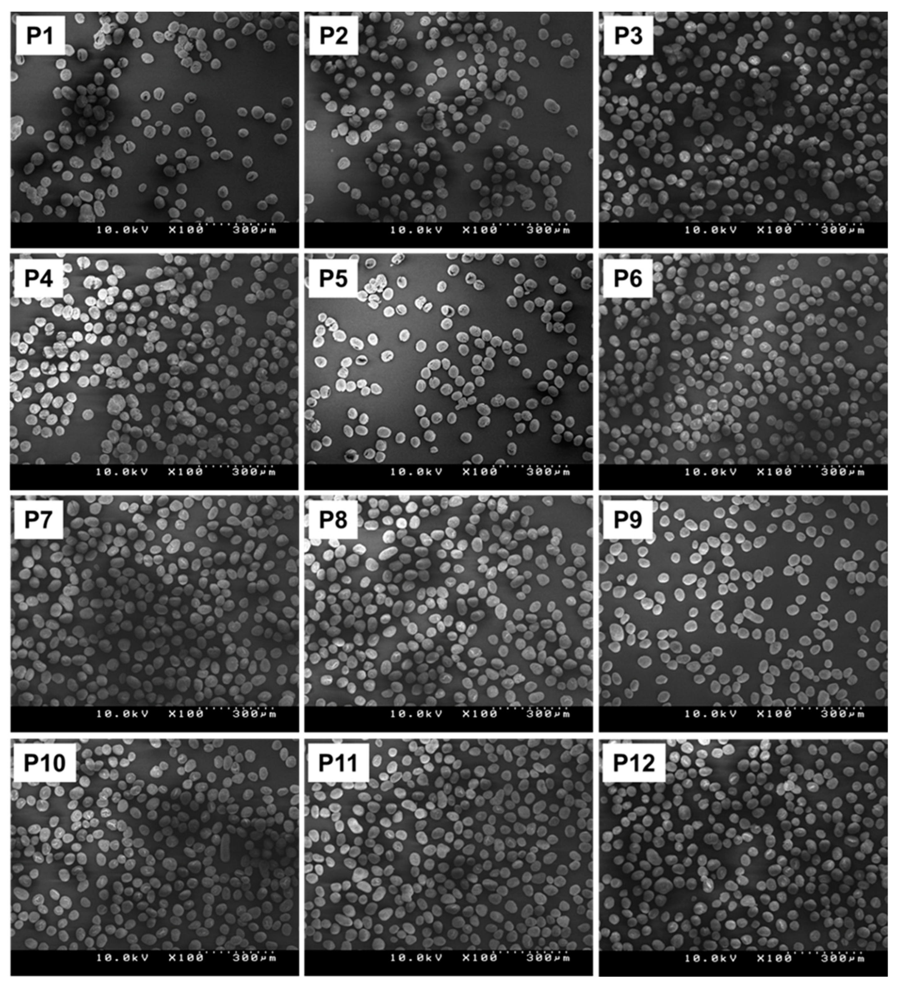 Polymers 15 04729 g004