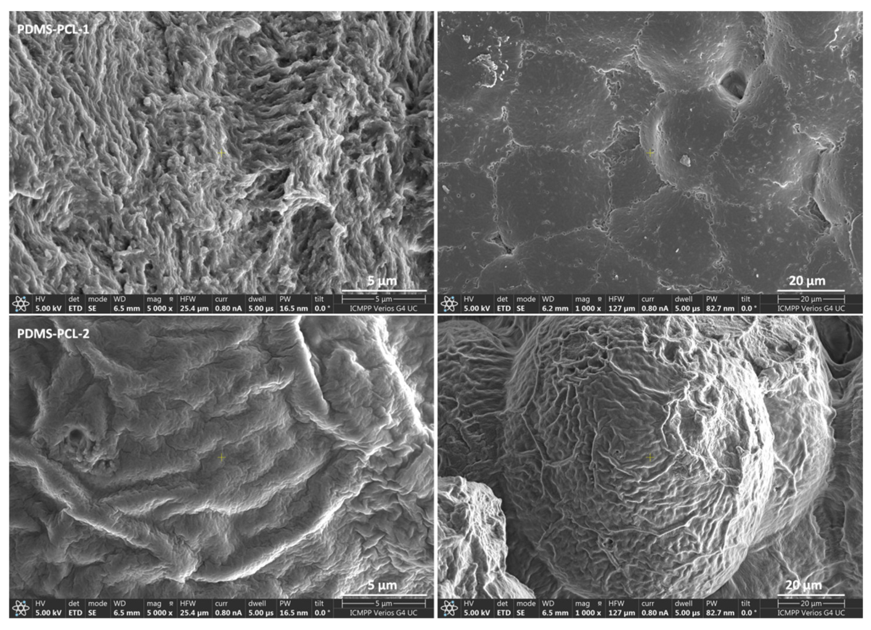 Polymers 15 04731 g004