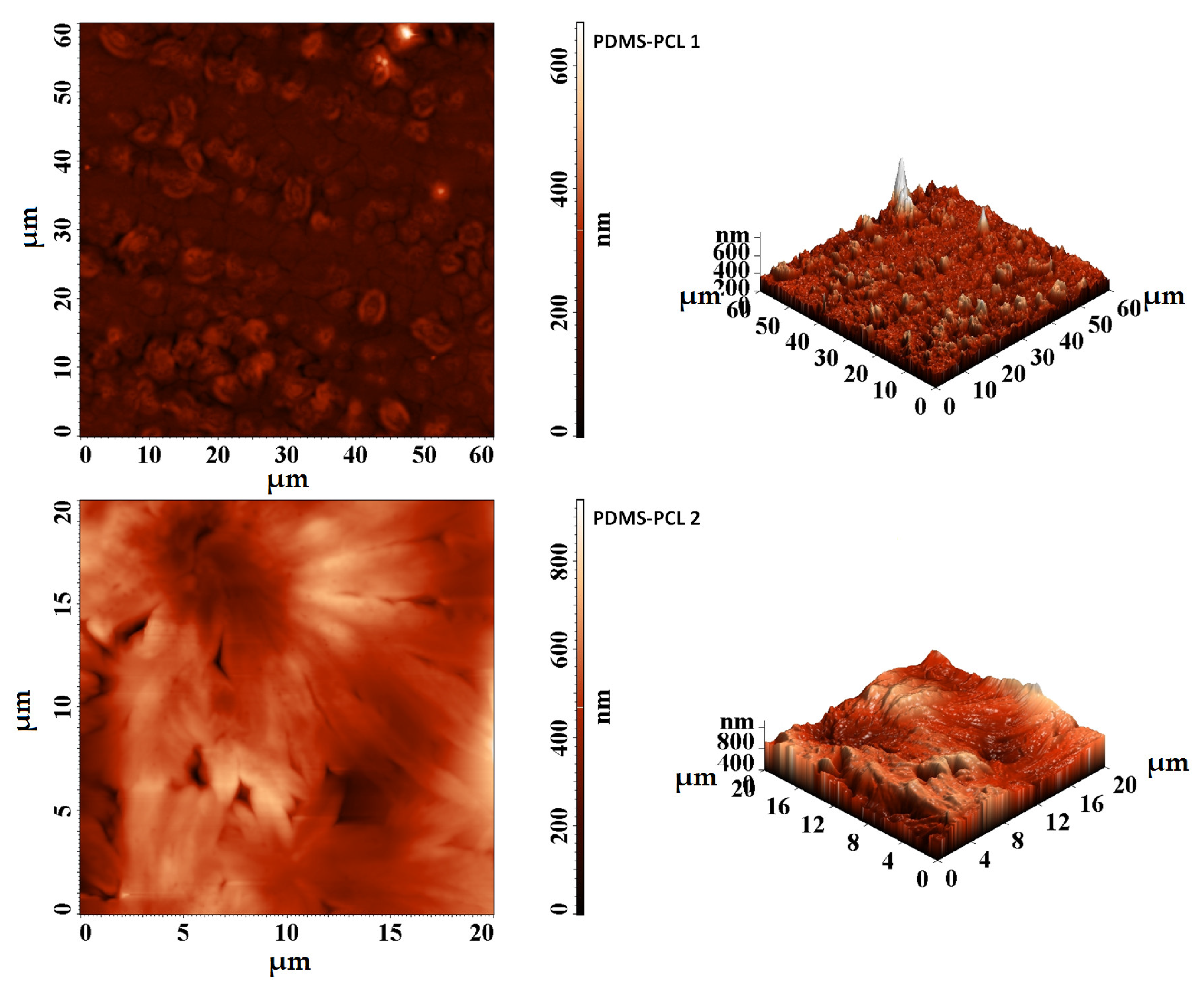 Polymers 15 04731 g005