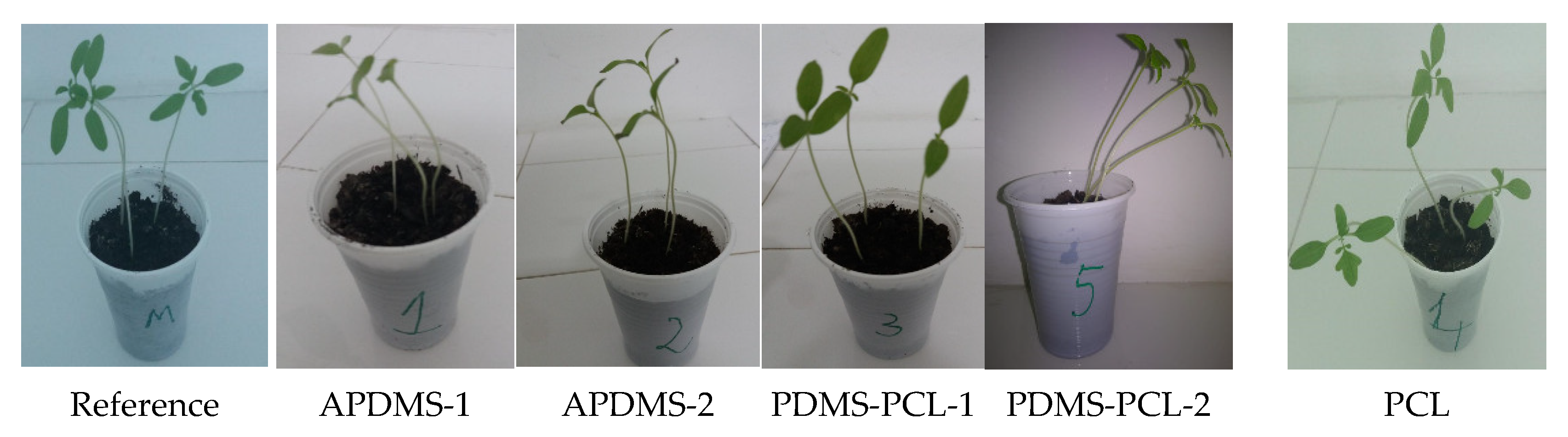 Polymers 15 04731 g012