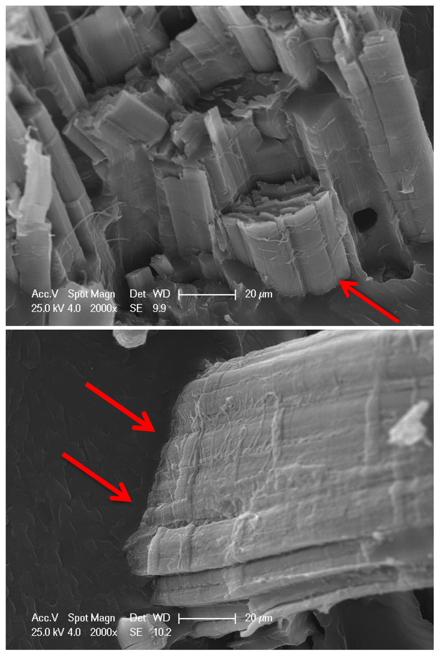 Polymers 15 04733 g010