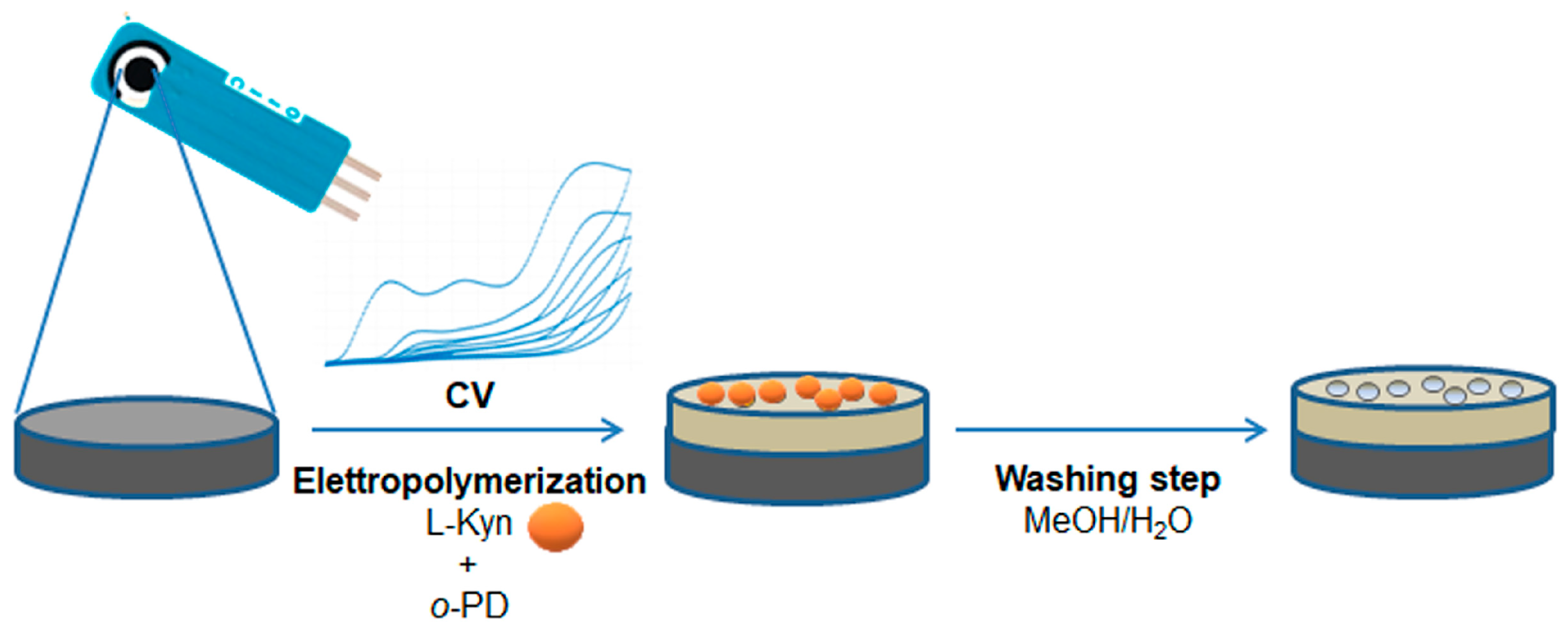 Polymers 16 00003 g001