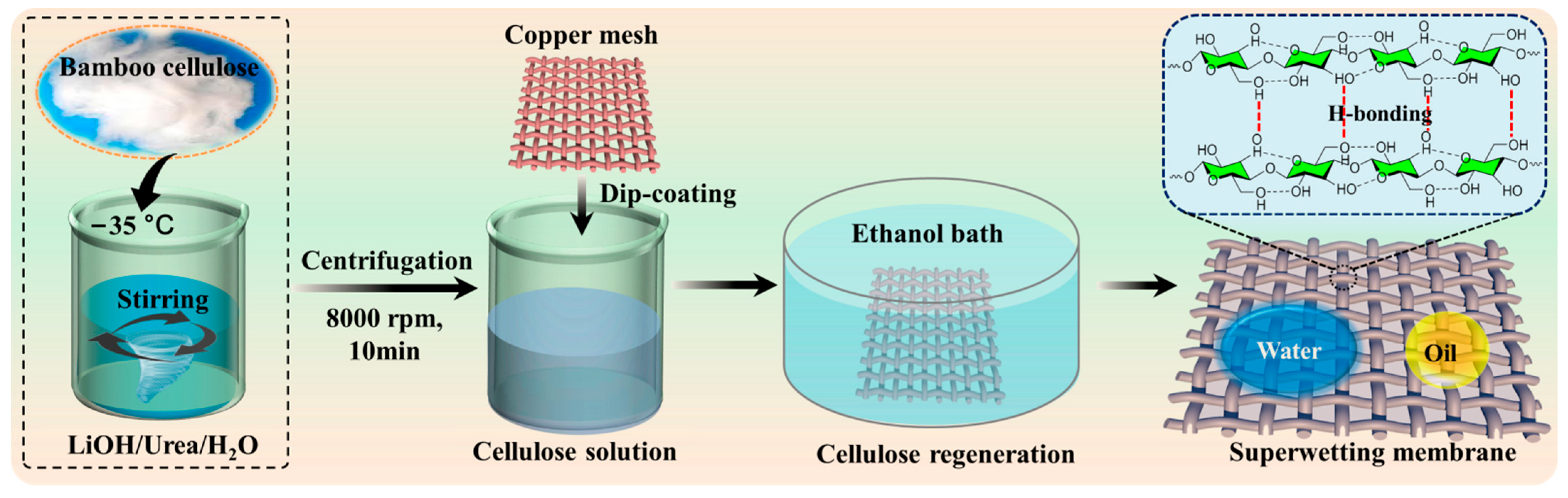 Polymers 16 00014 g001