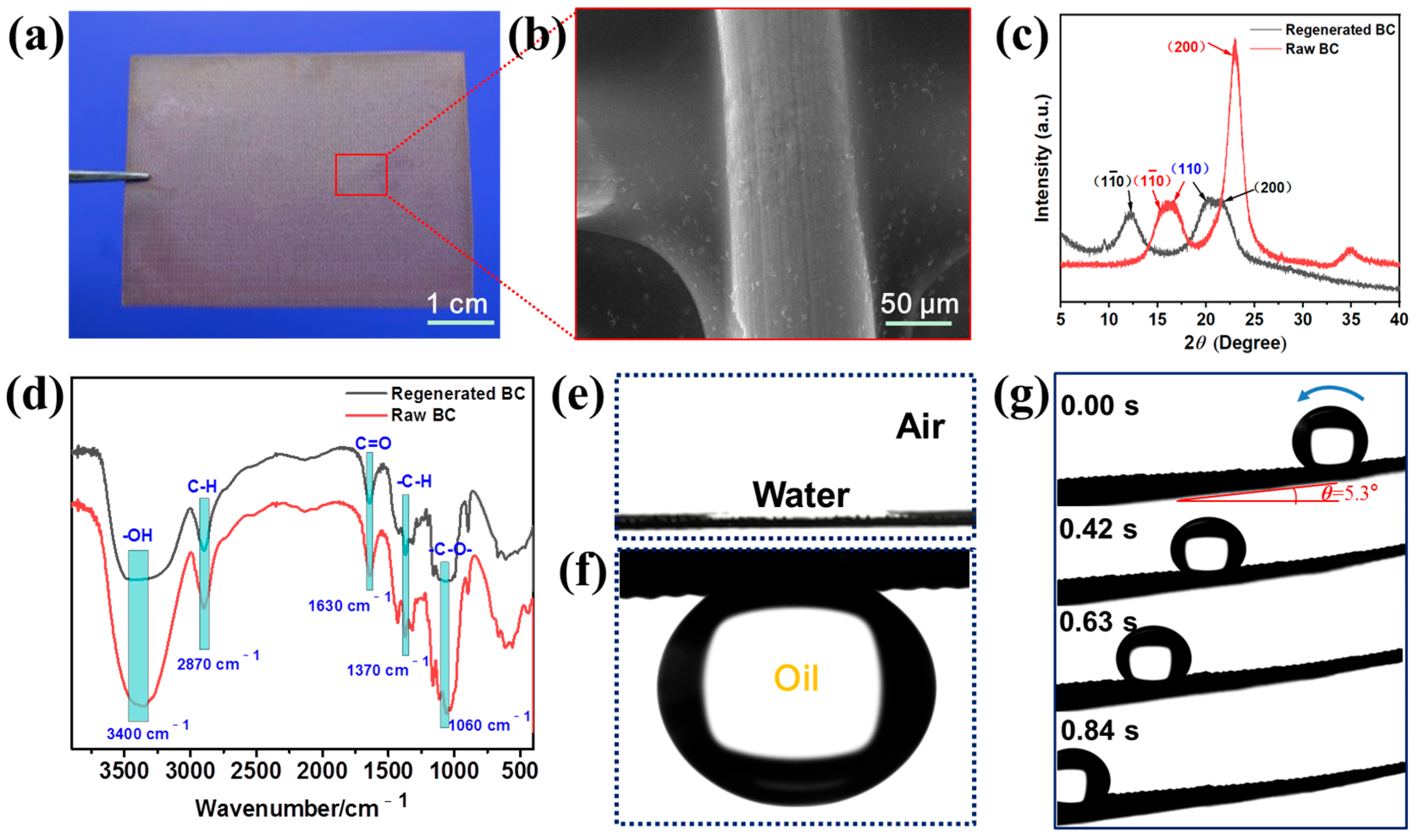 Polymers 16 00014 g002