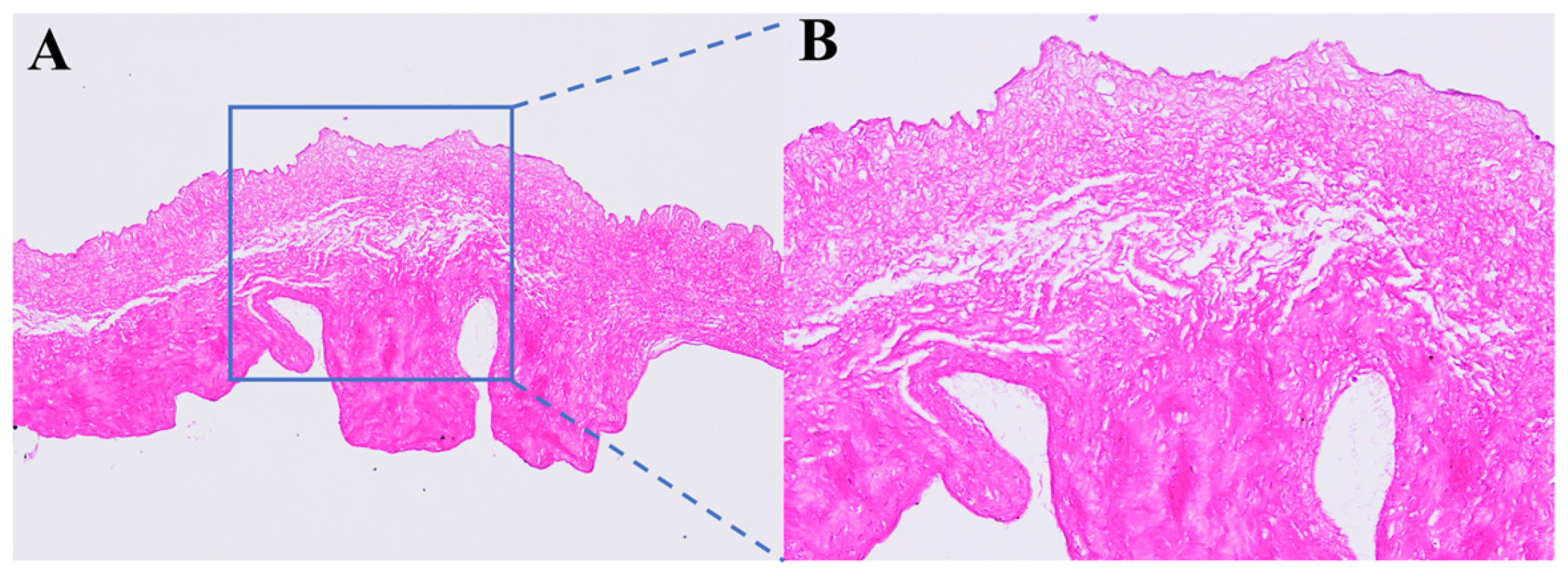 Polymers 16 00016 g002