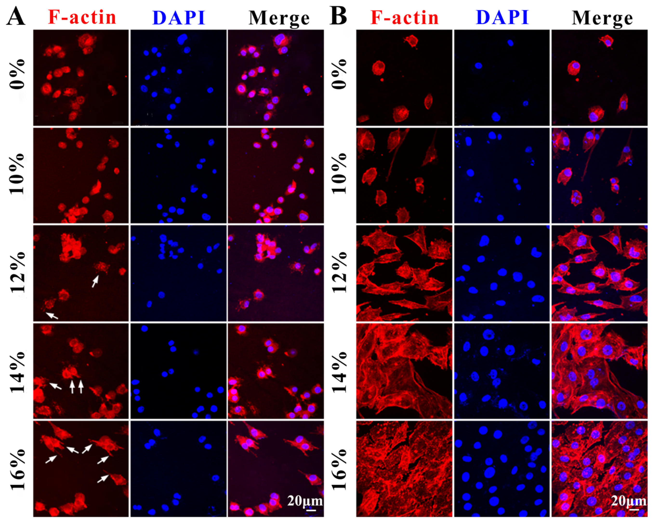 Polymers 16 00016 g008
