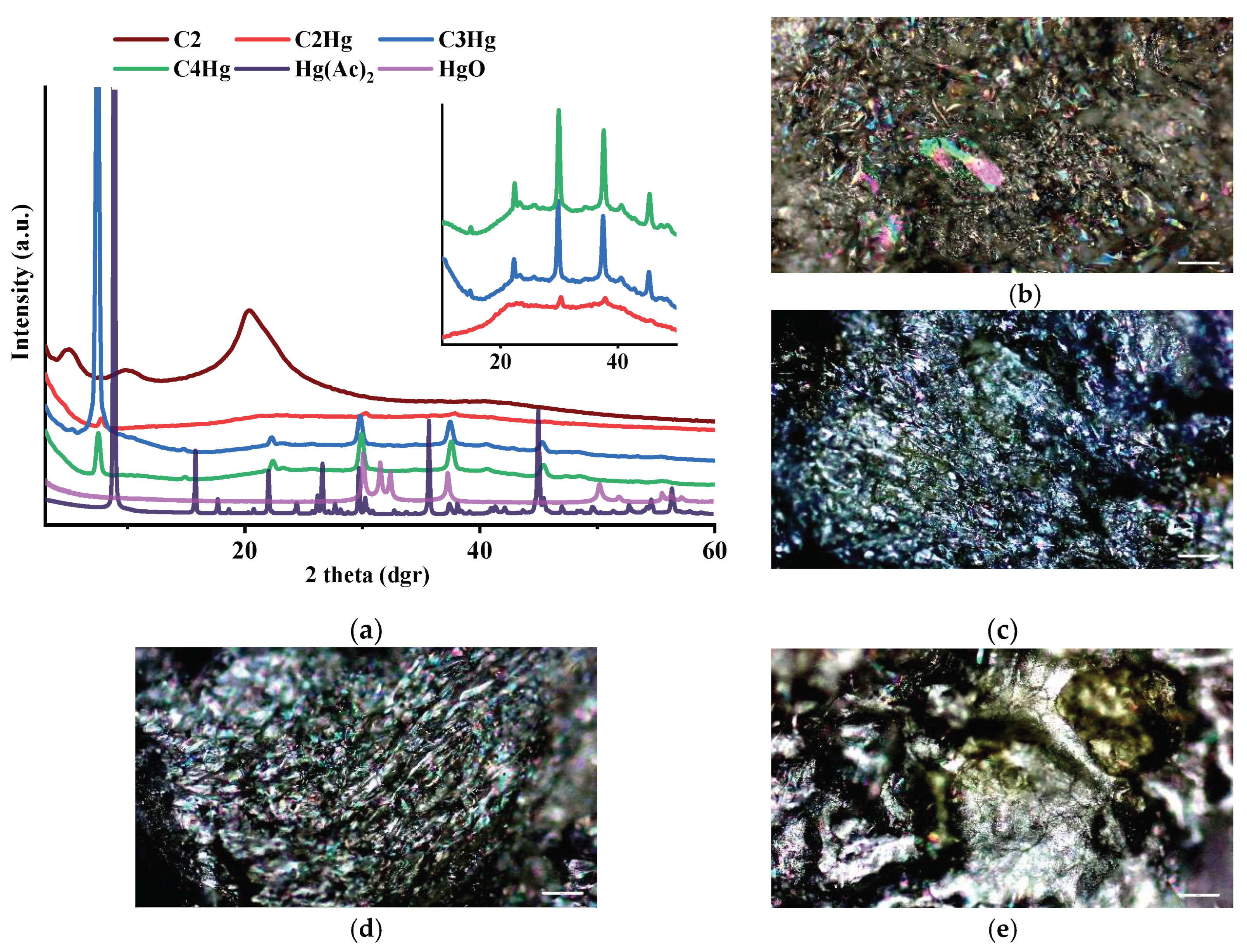 Polymers 16 00019 g011