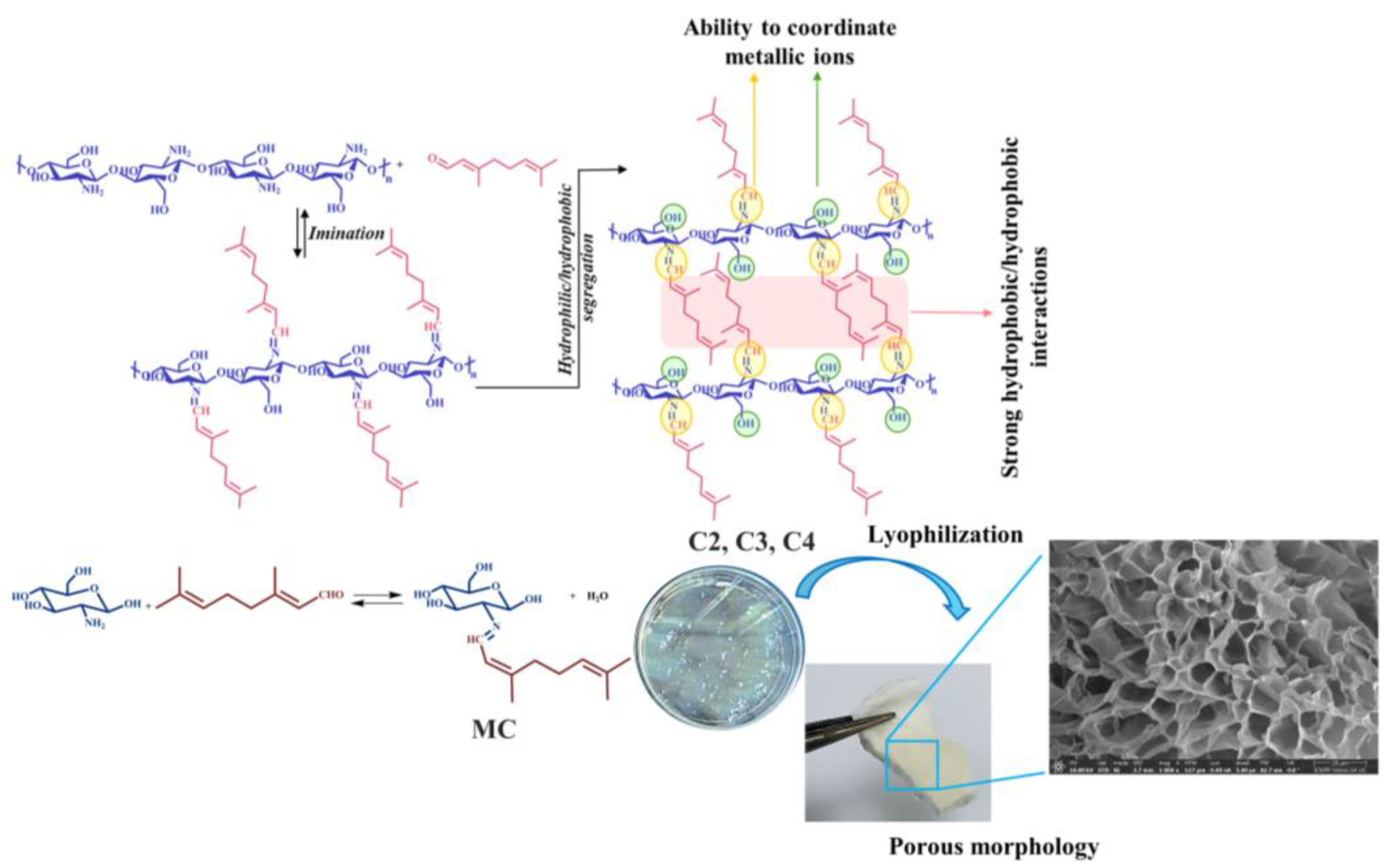 Polymers 16 00019 sch001