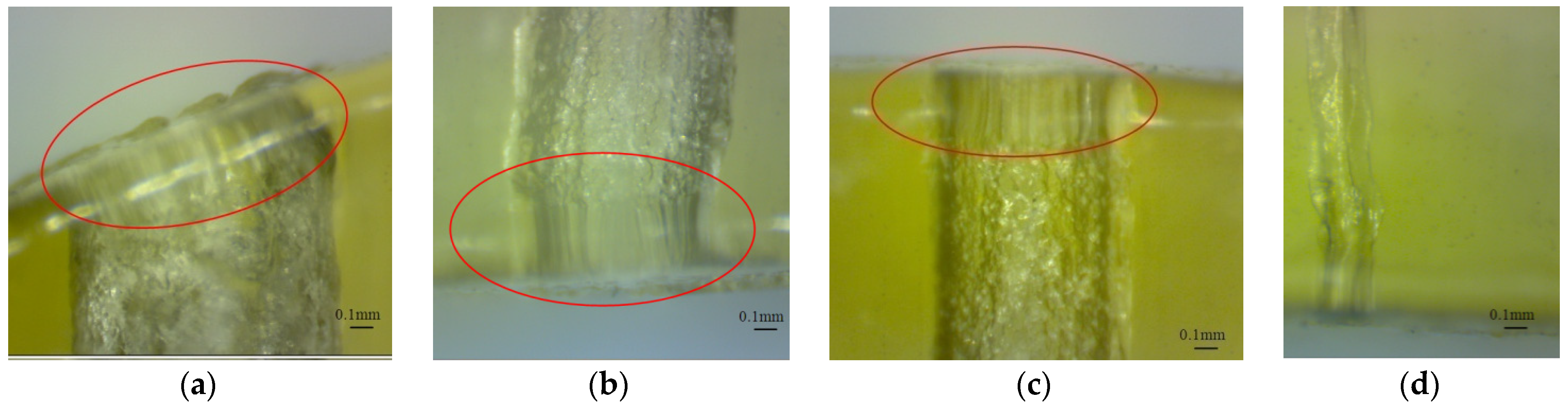 Polymers 16 00032 g016