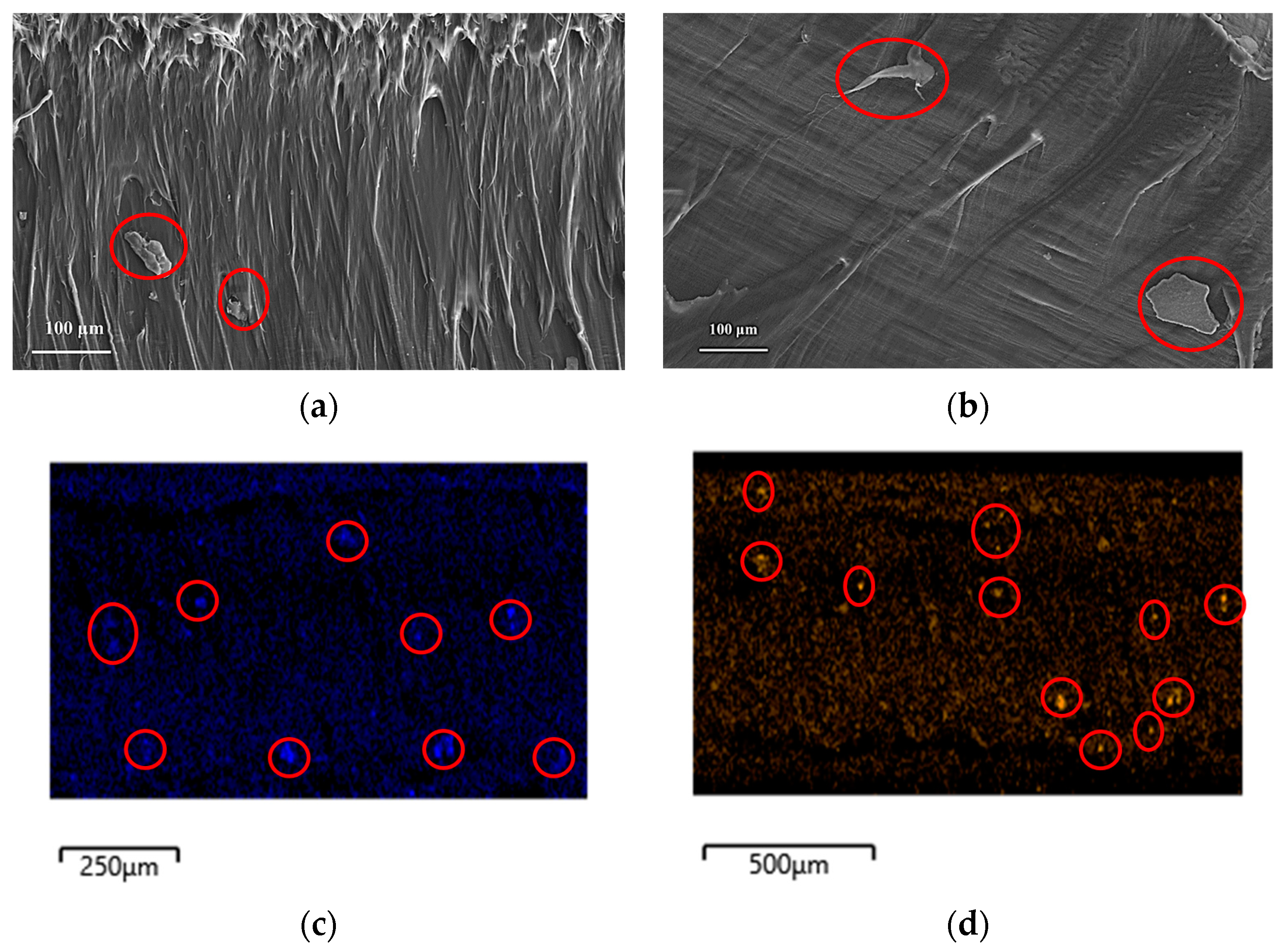Polymers 16 00036 g002 Polymers 16 00036 g002