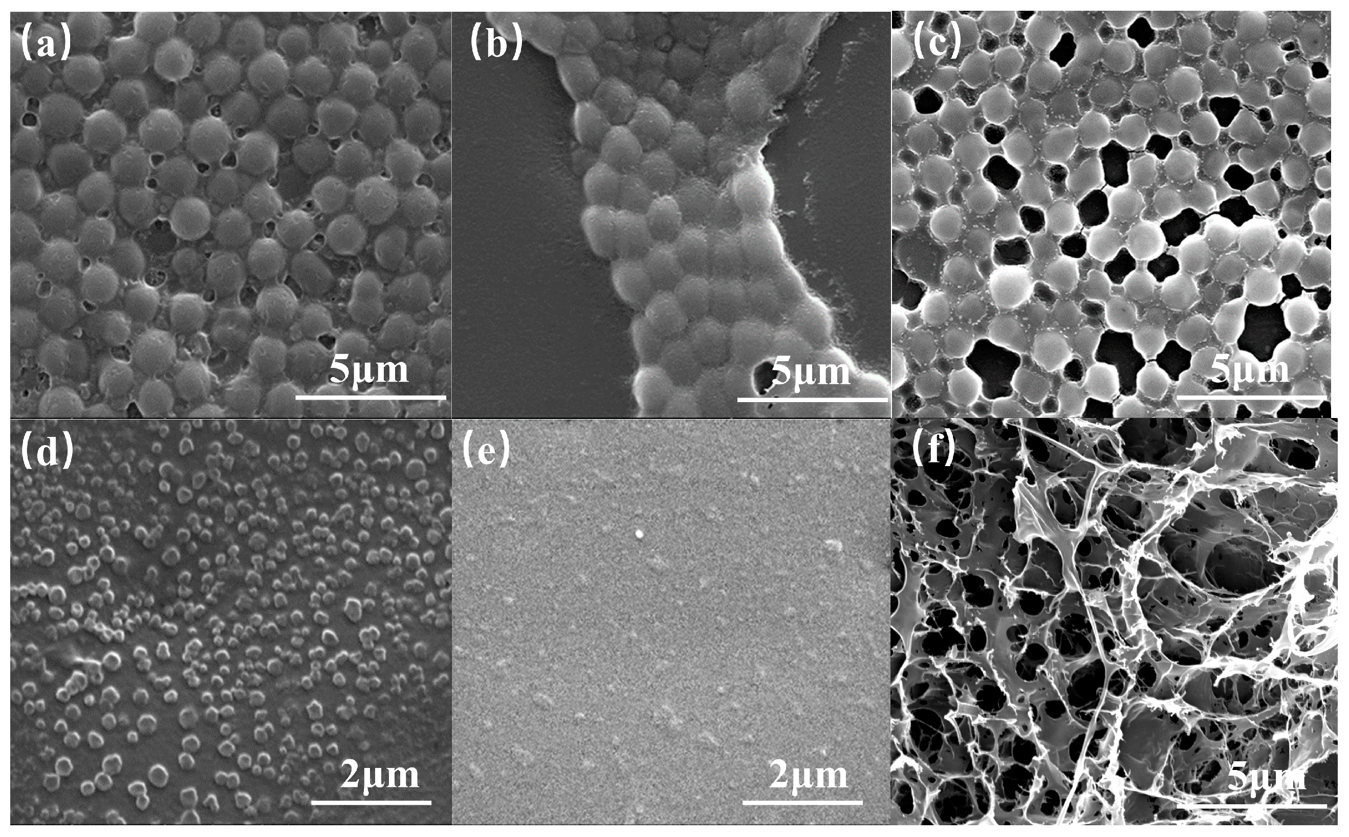 Polymers 16 00039 g004