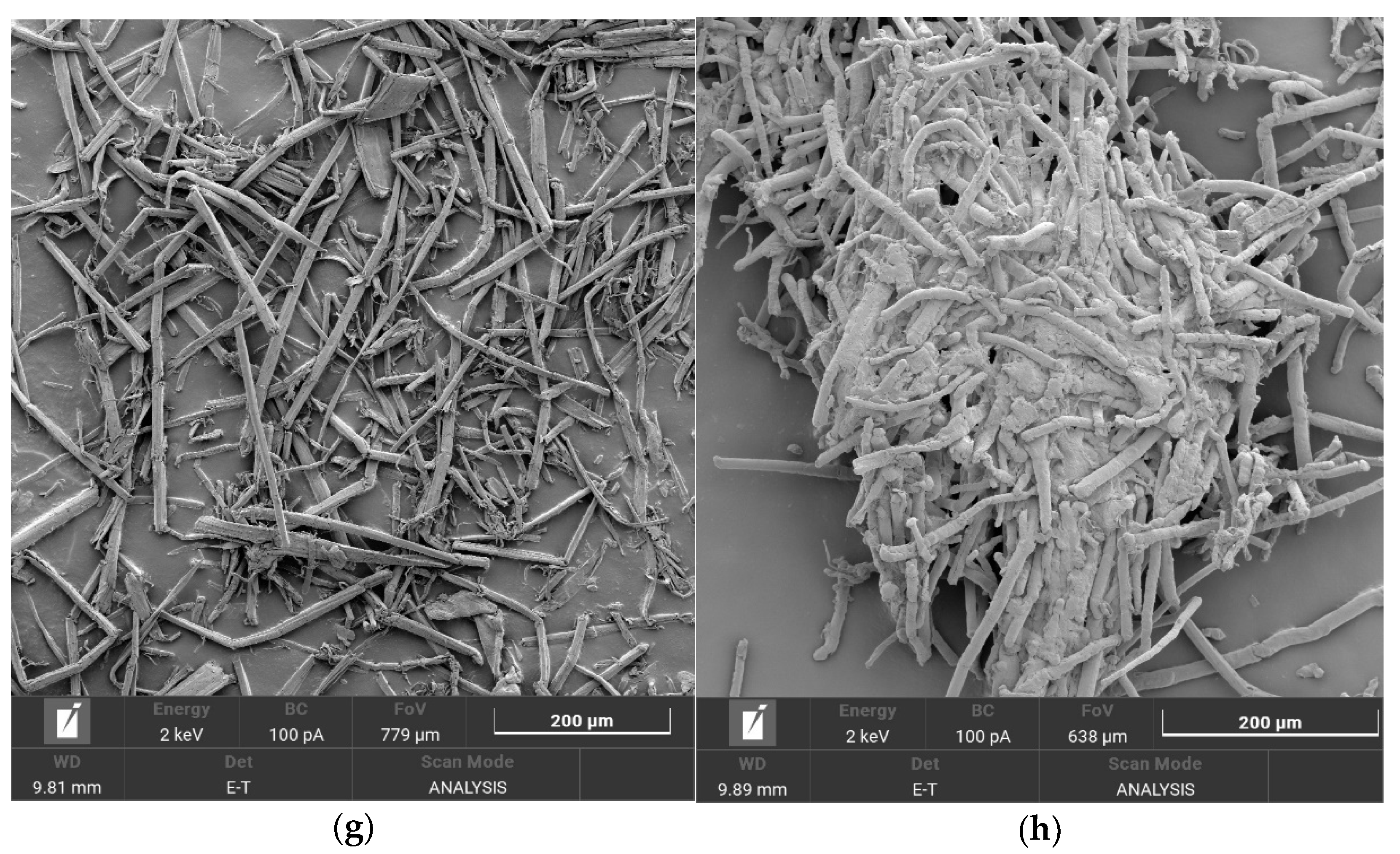 Polymers 16 00042 g001b Polymers 16 00042 g001b