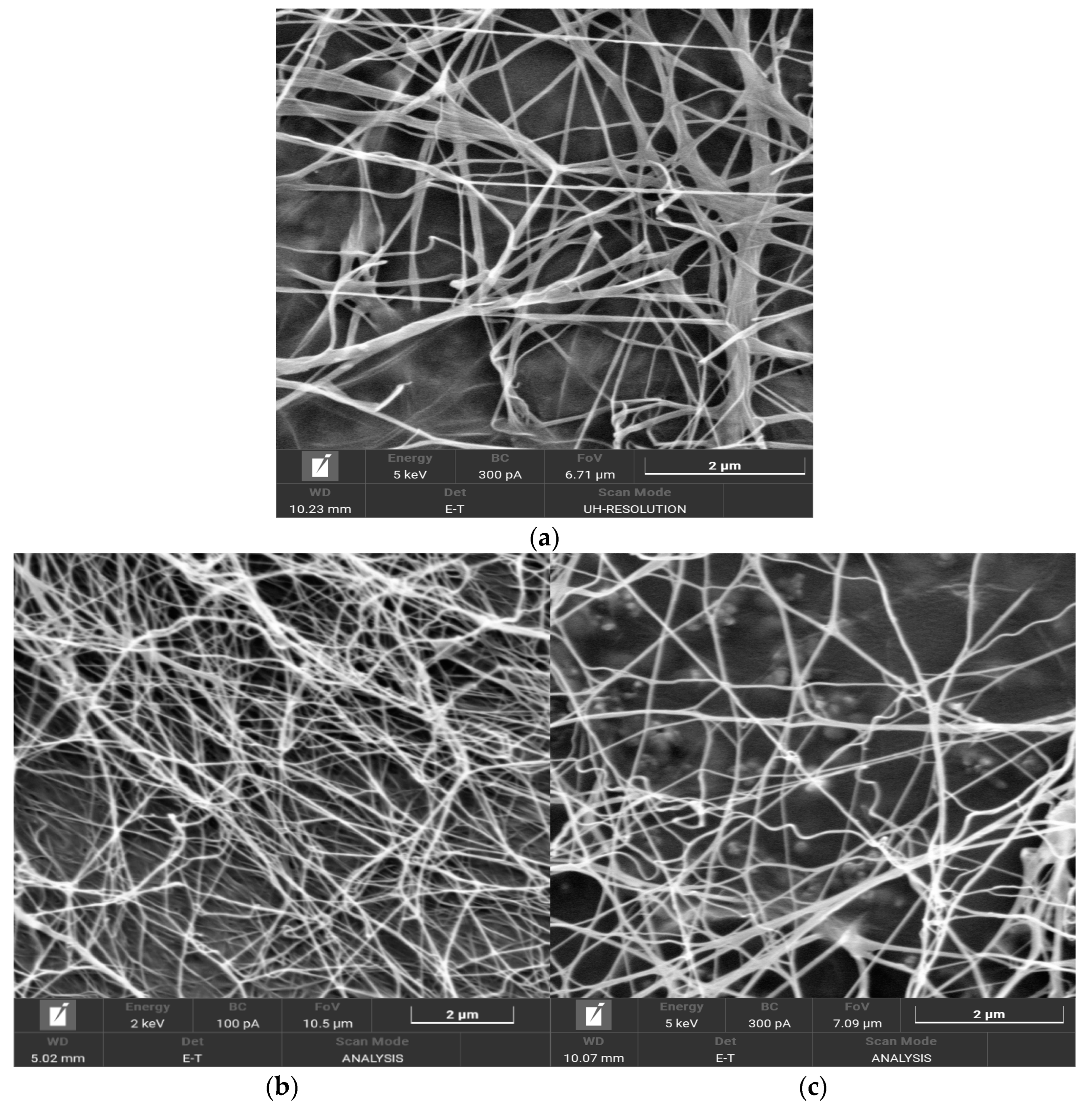 Polymers 16 00042 g005 Polymers 16 00042 g005