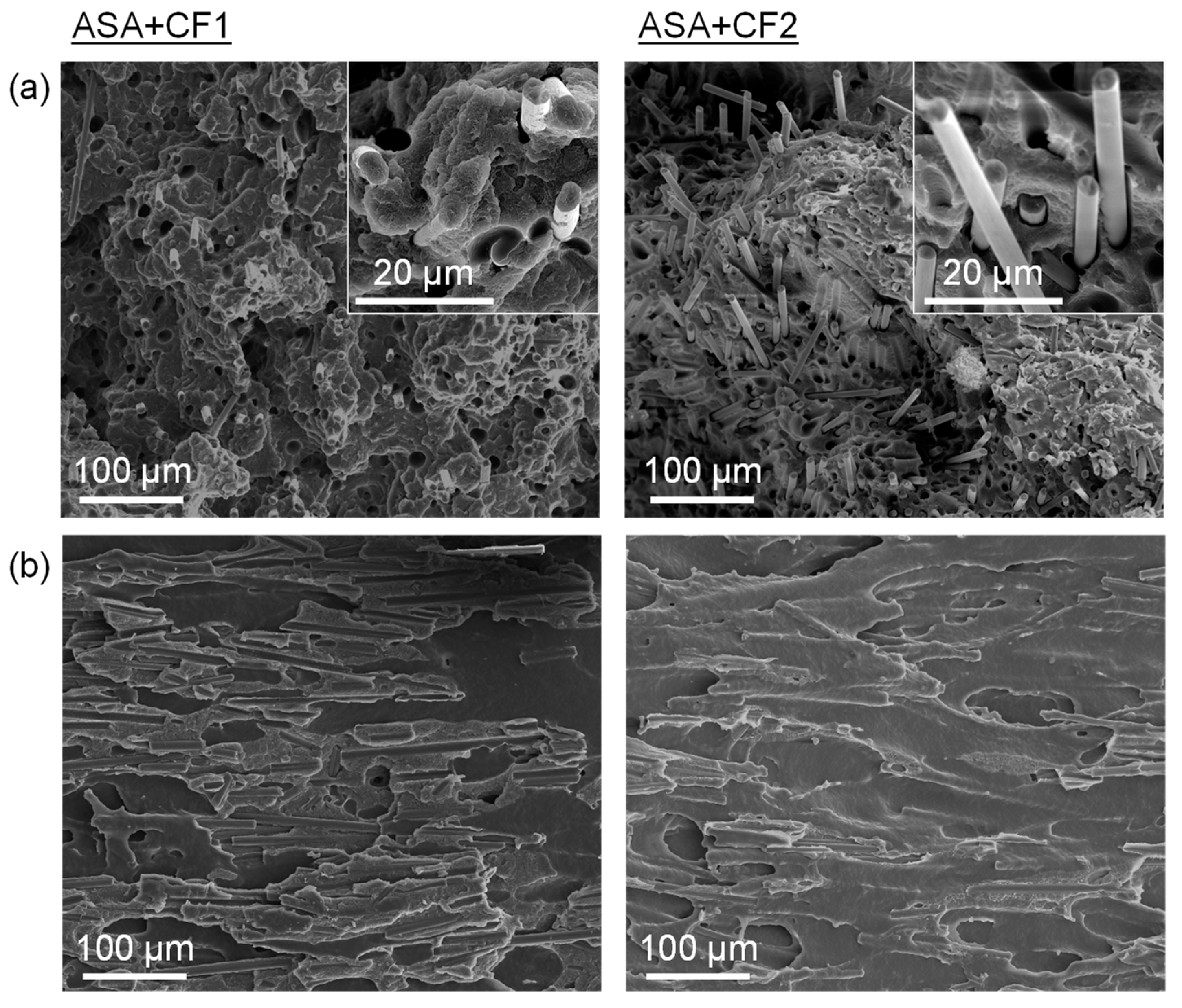 Polymers 16 00060 g005