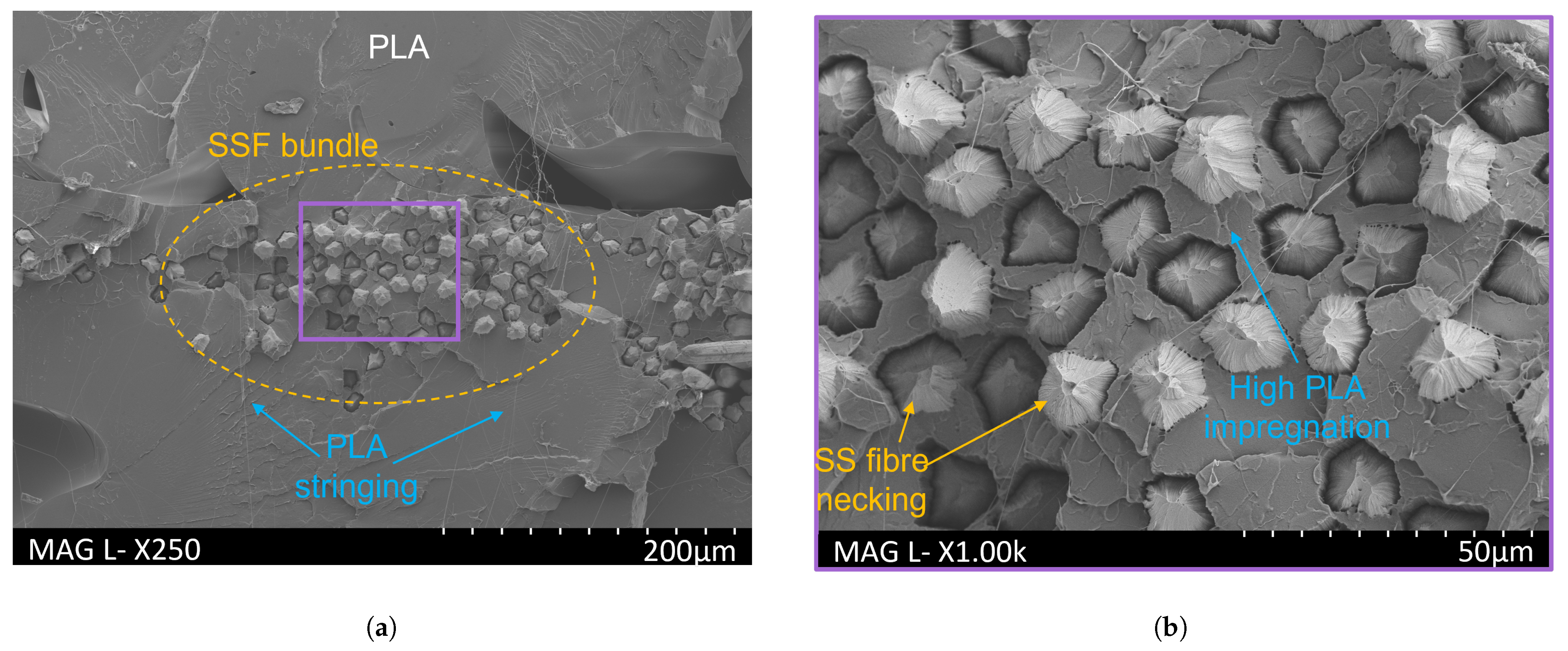 Polymers 16 00063 g012