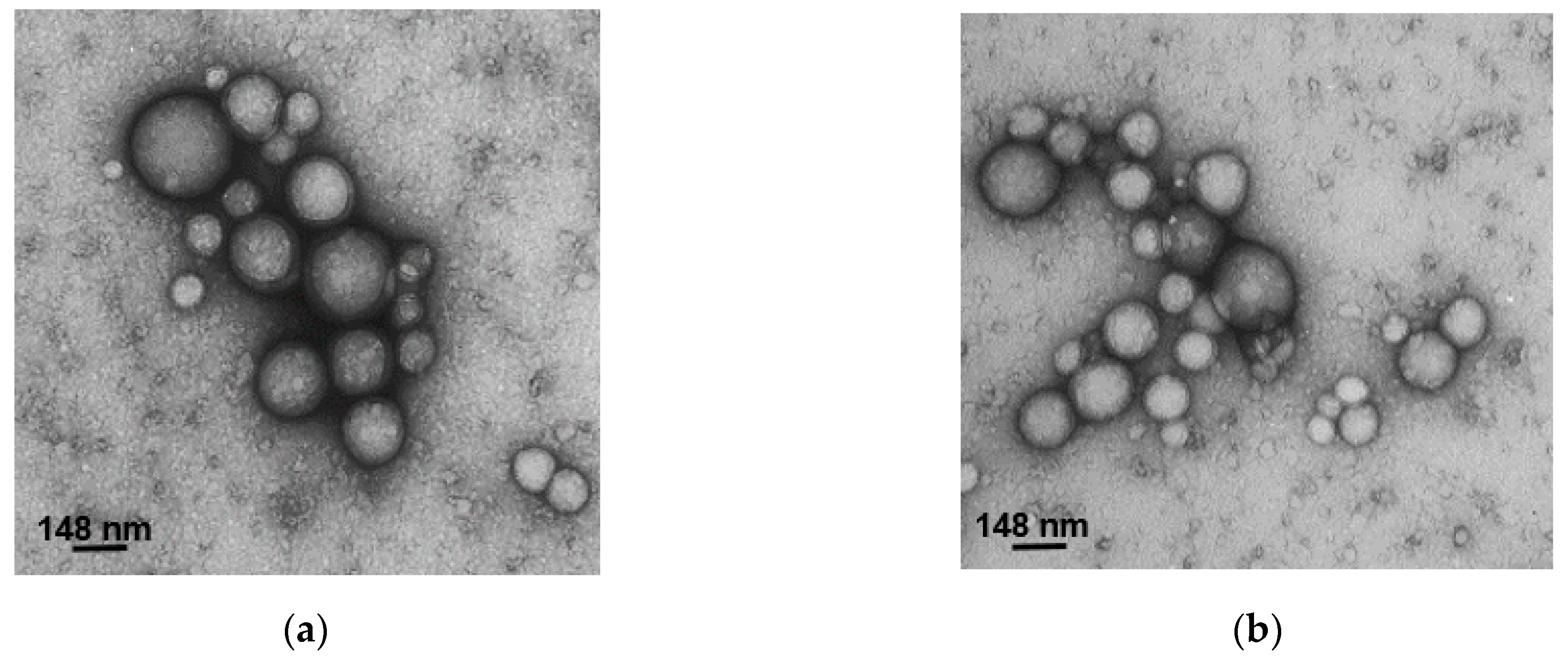 Polymers 16 00072 g004a