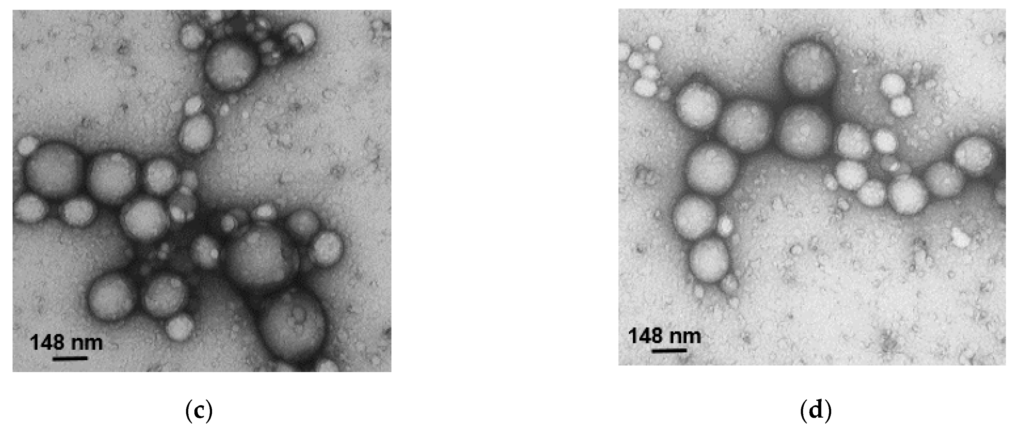 Polymers 16 00072 g004b
